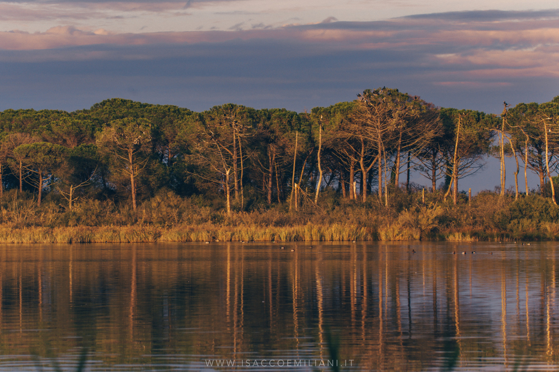 Ultime luci sulle valli del Delta
