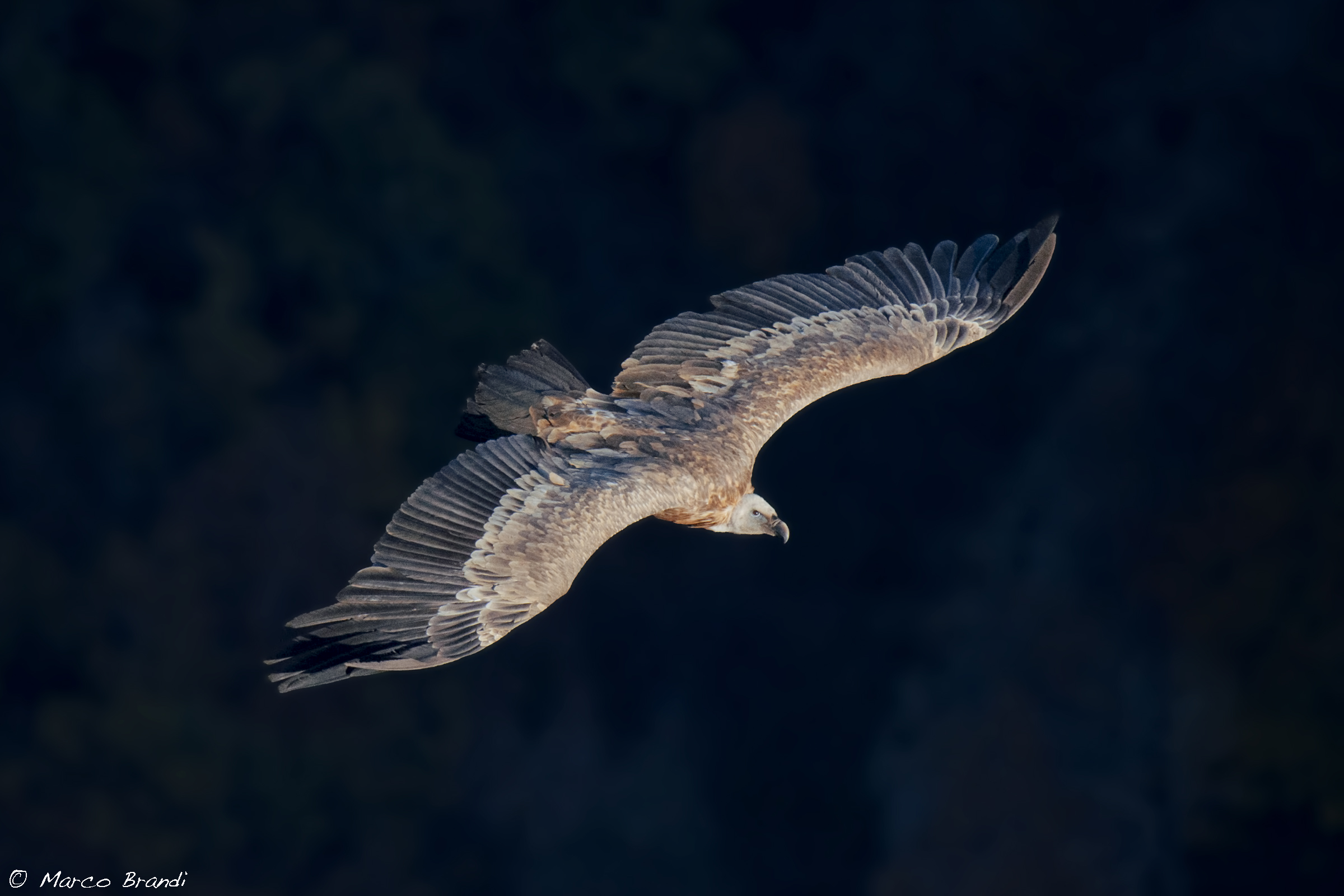 Il giusto raggio di sole.