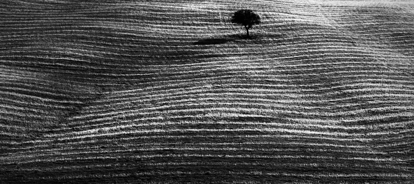 Playing in Val d'Orcia ...