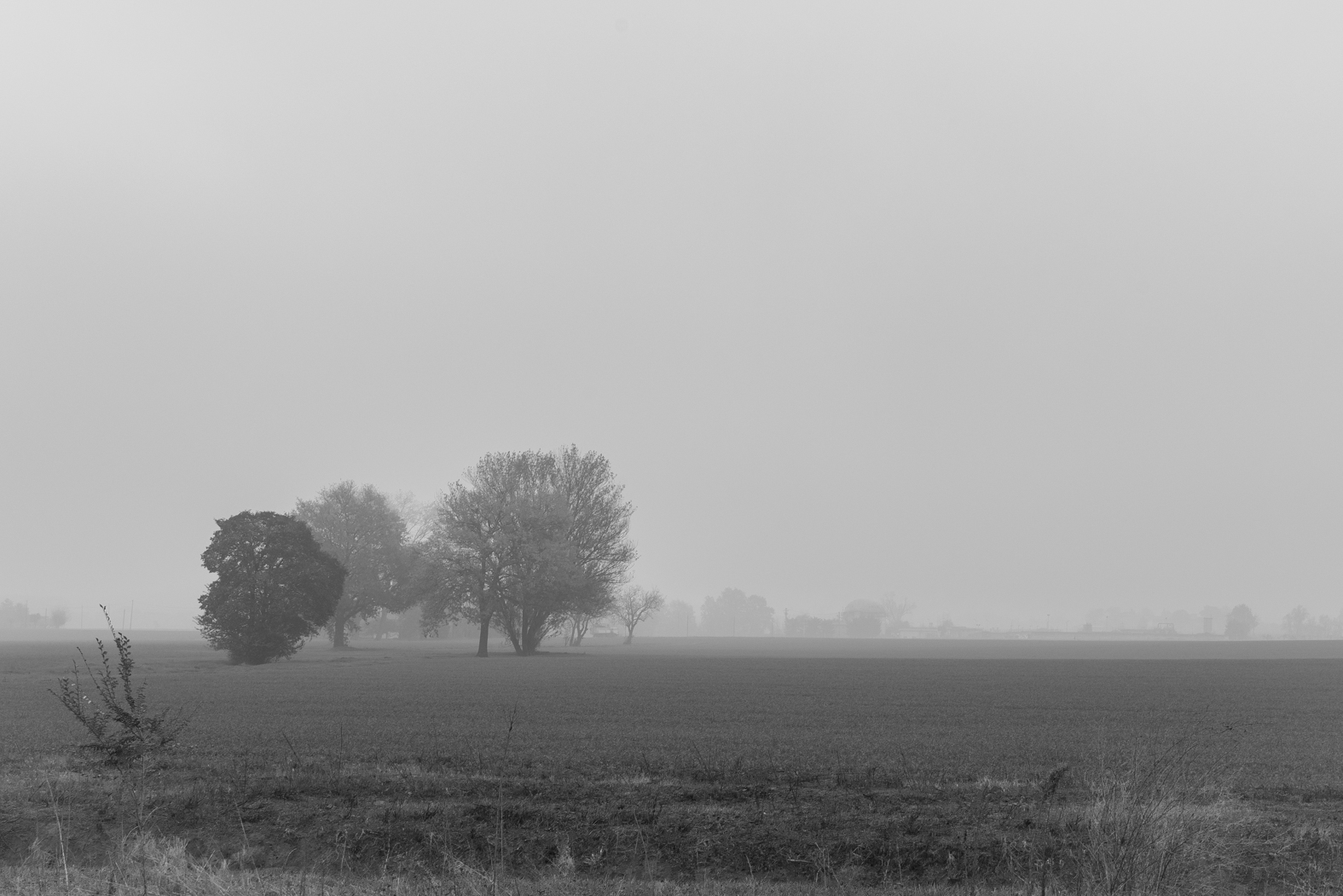 Paesaggio con nebbia2