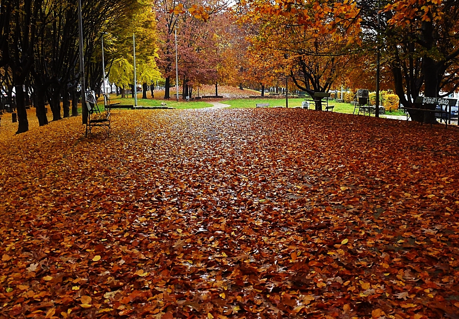 Autumn in the city '