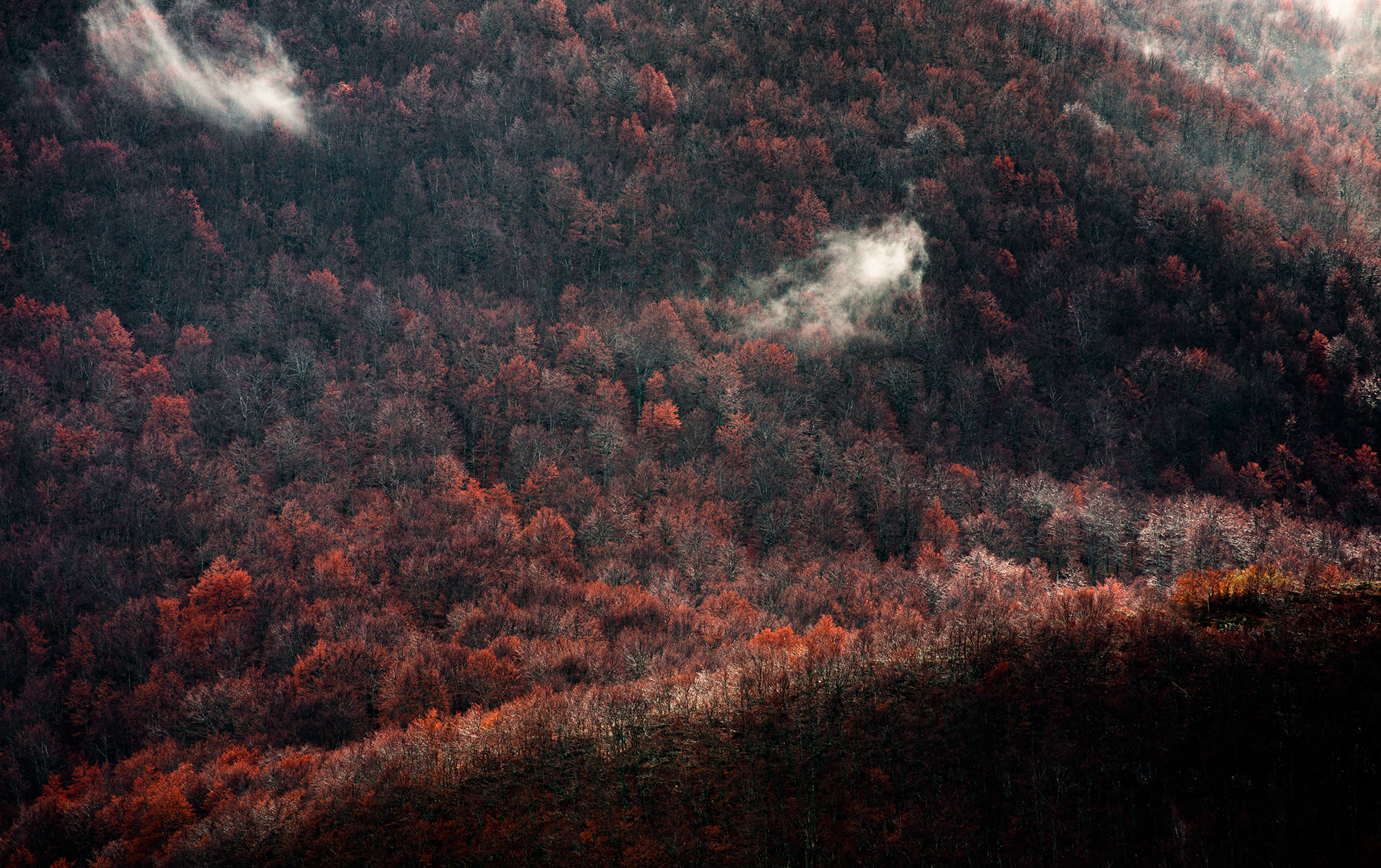 Autumn in the Park Sirente Velino