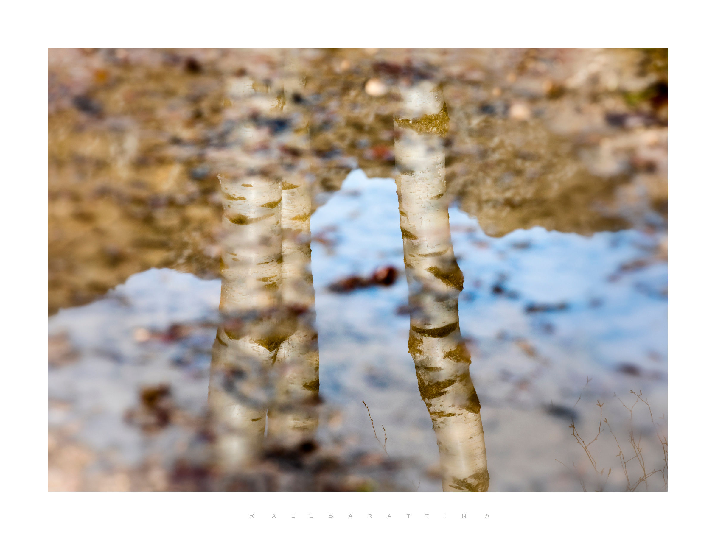 The three sisters ...