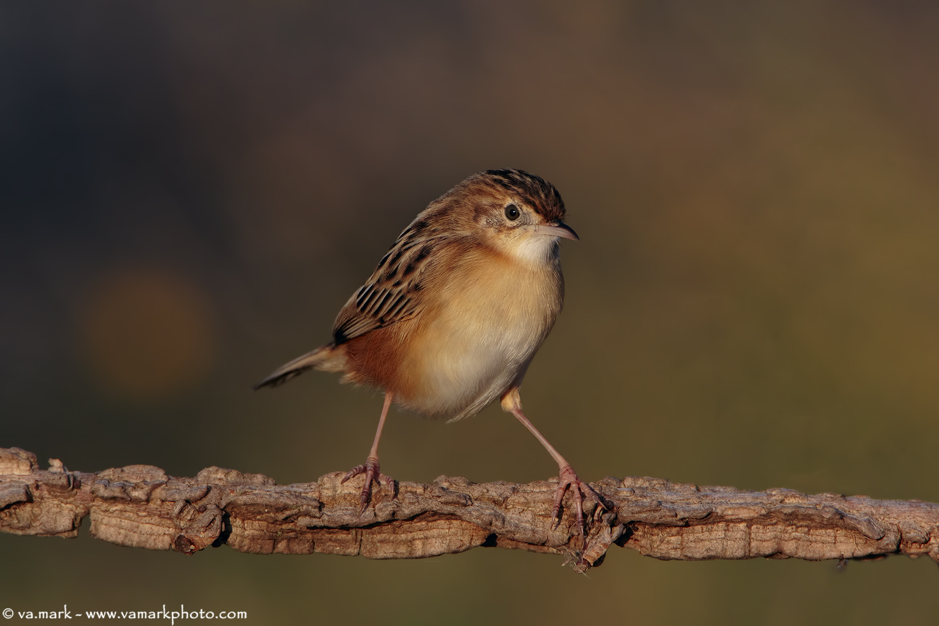 even a bit of sunshine ....