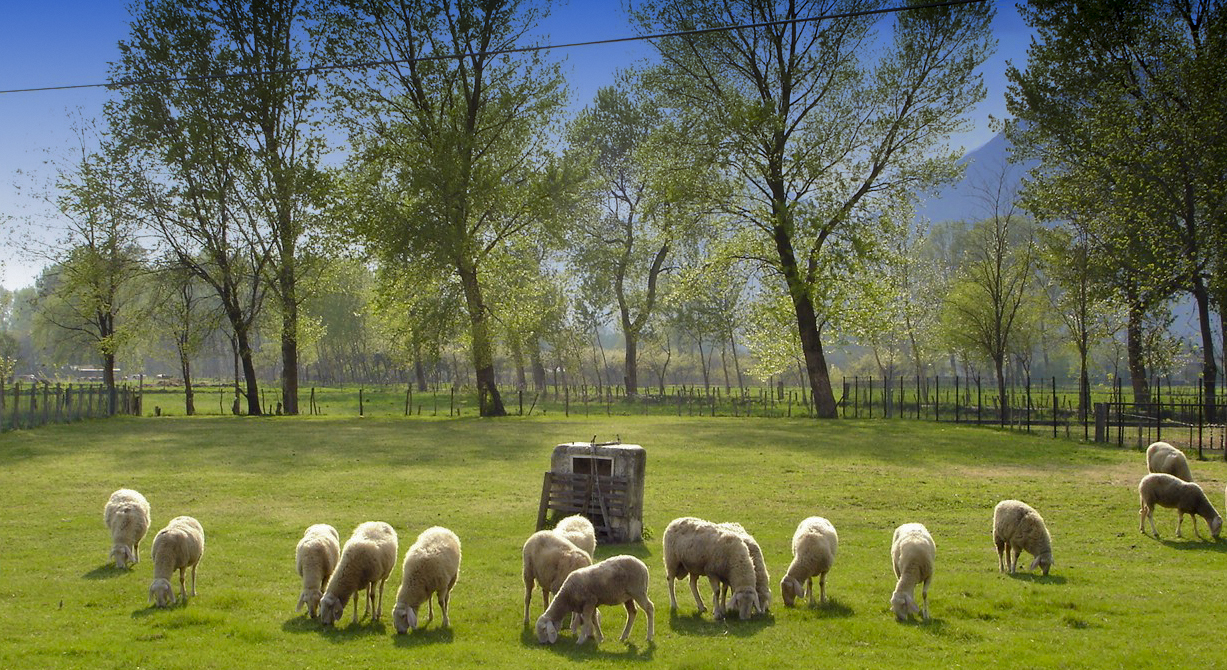 un angolo di Lombardia