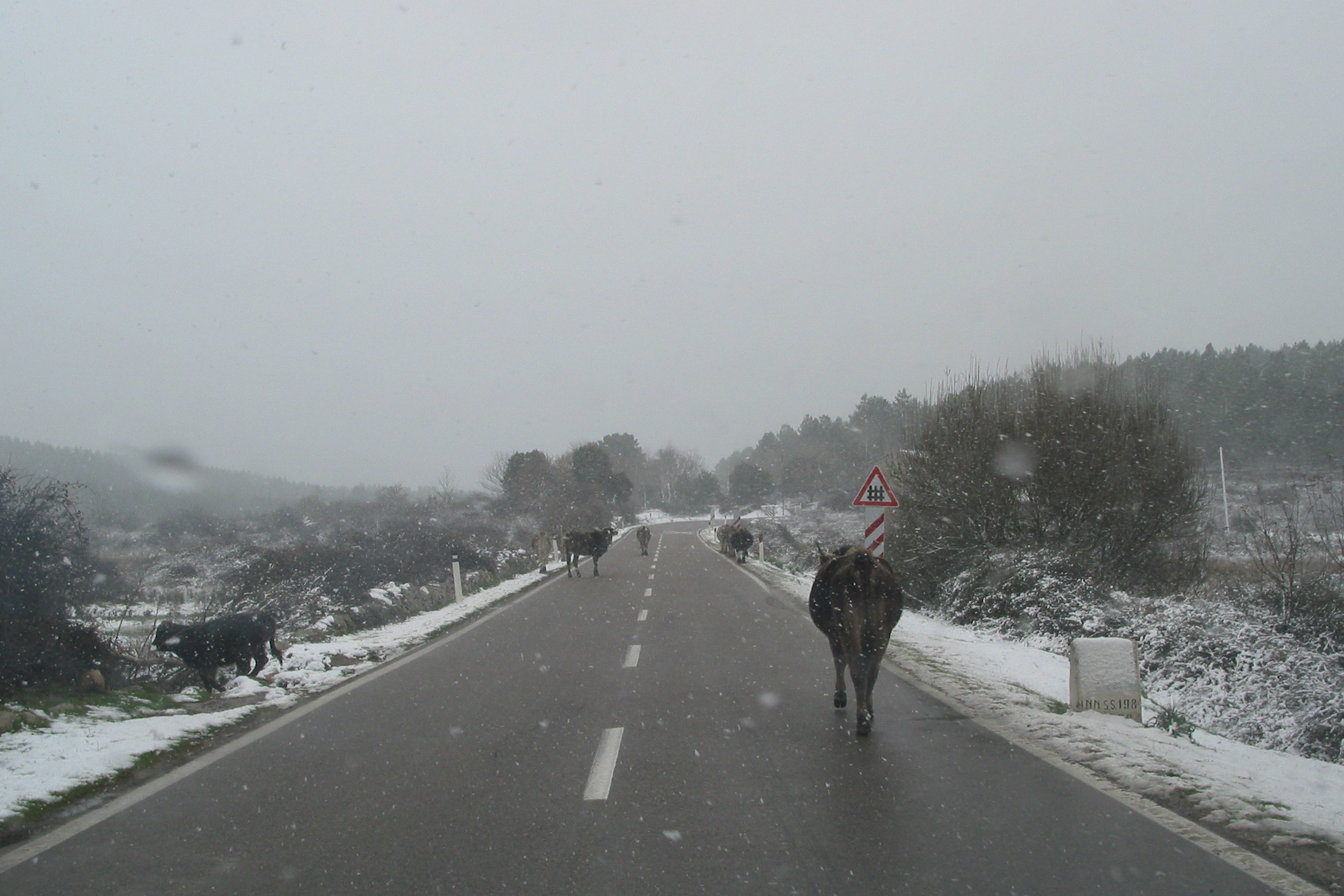 The essence of the traffic!