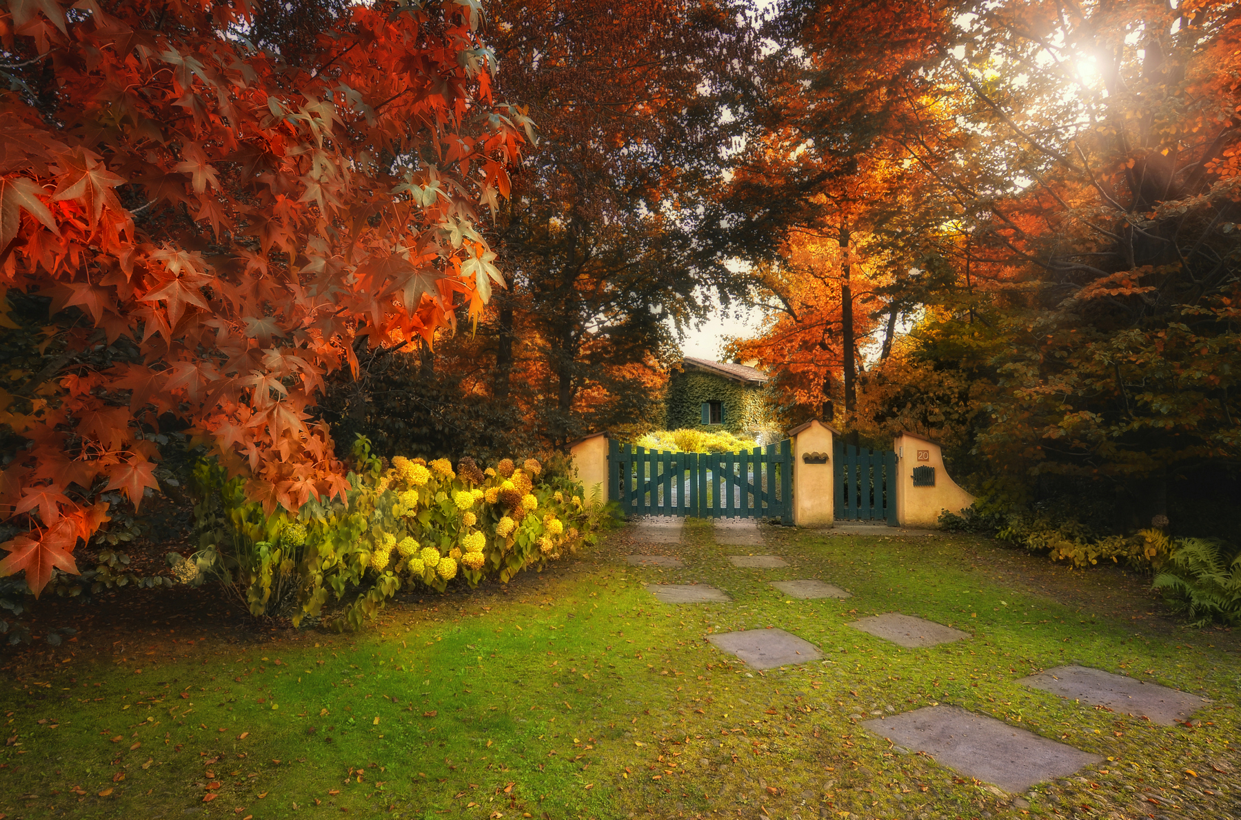 Una finestra nell'edera!