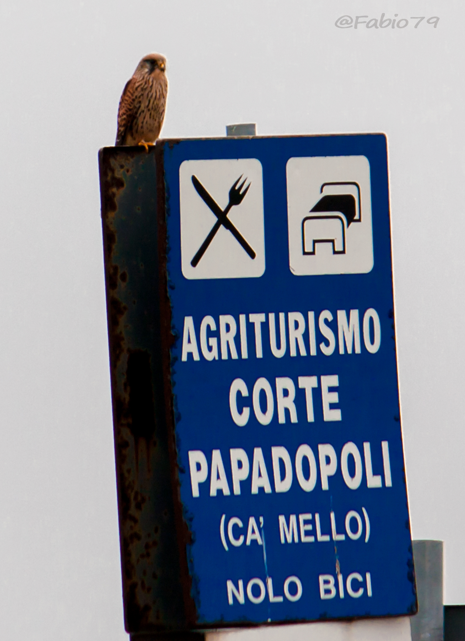 Excuse me ... to go beyond the farm?