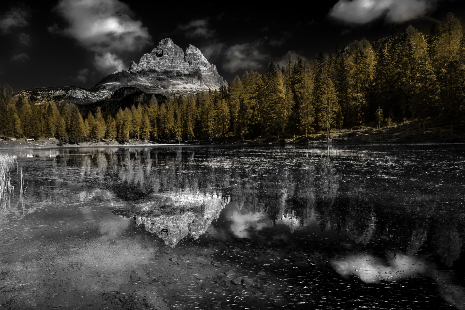 sfumature d'autunno 1