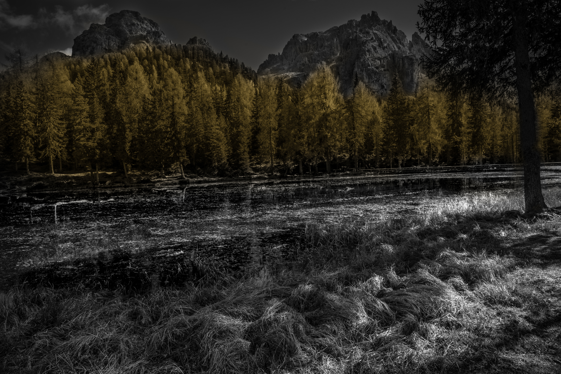 sfumature d'autunno 2