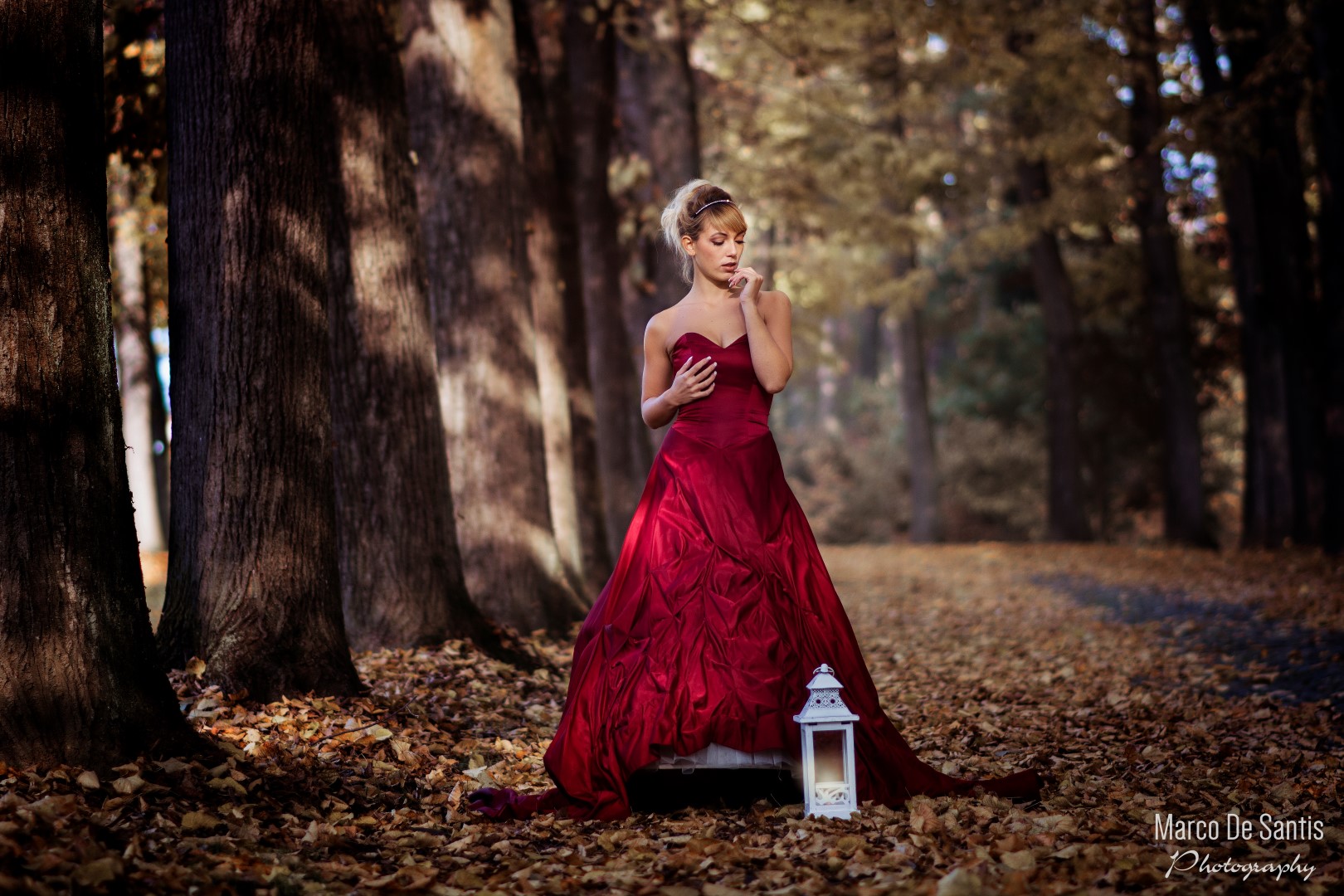 Princess in the wood