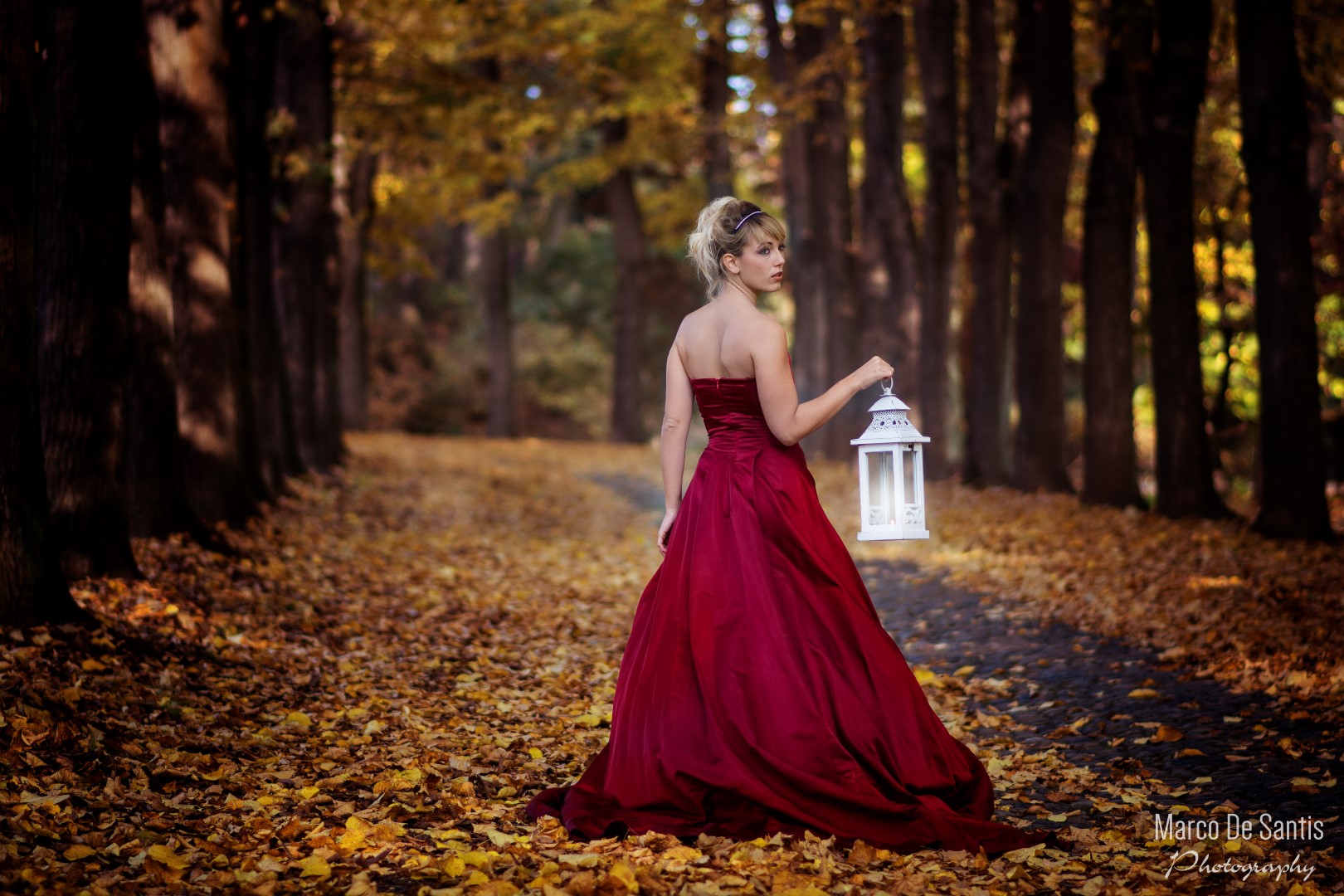 Princess in the wood