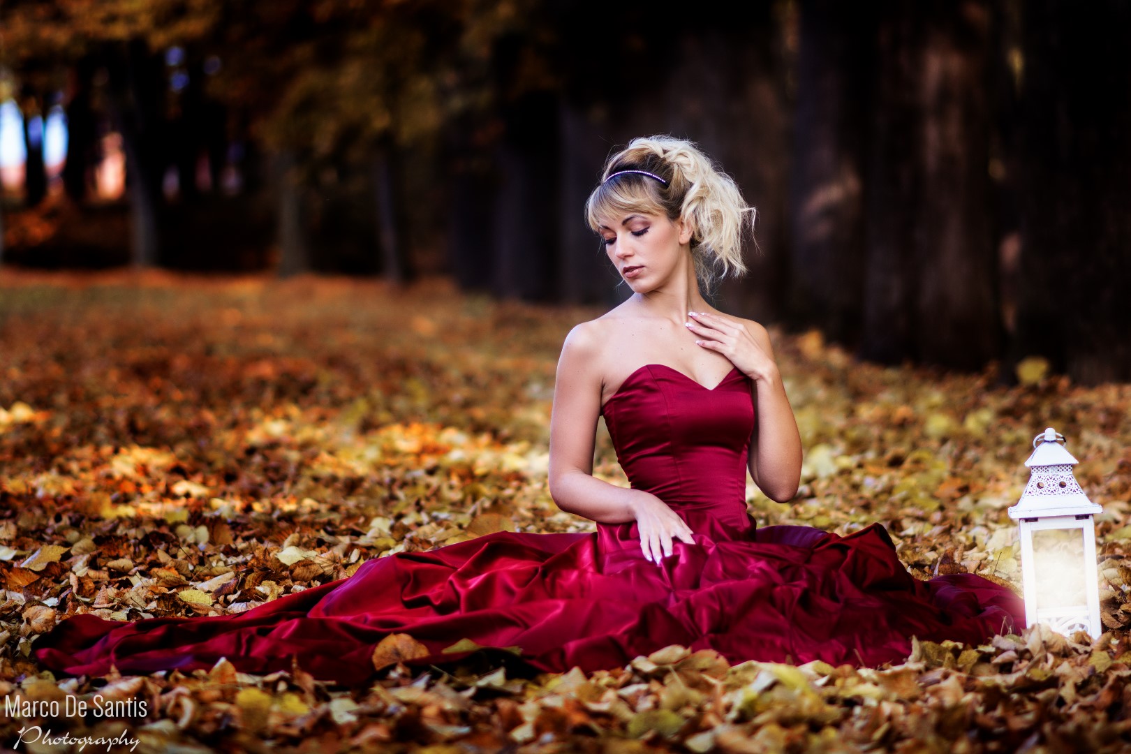 Princess in the wood