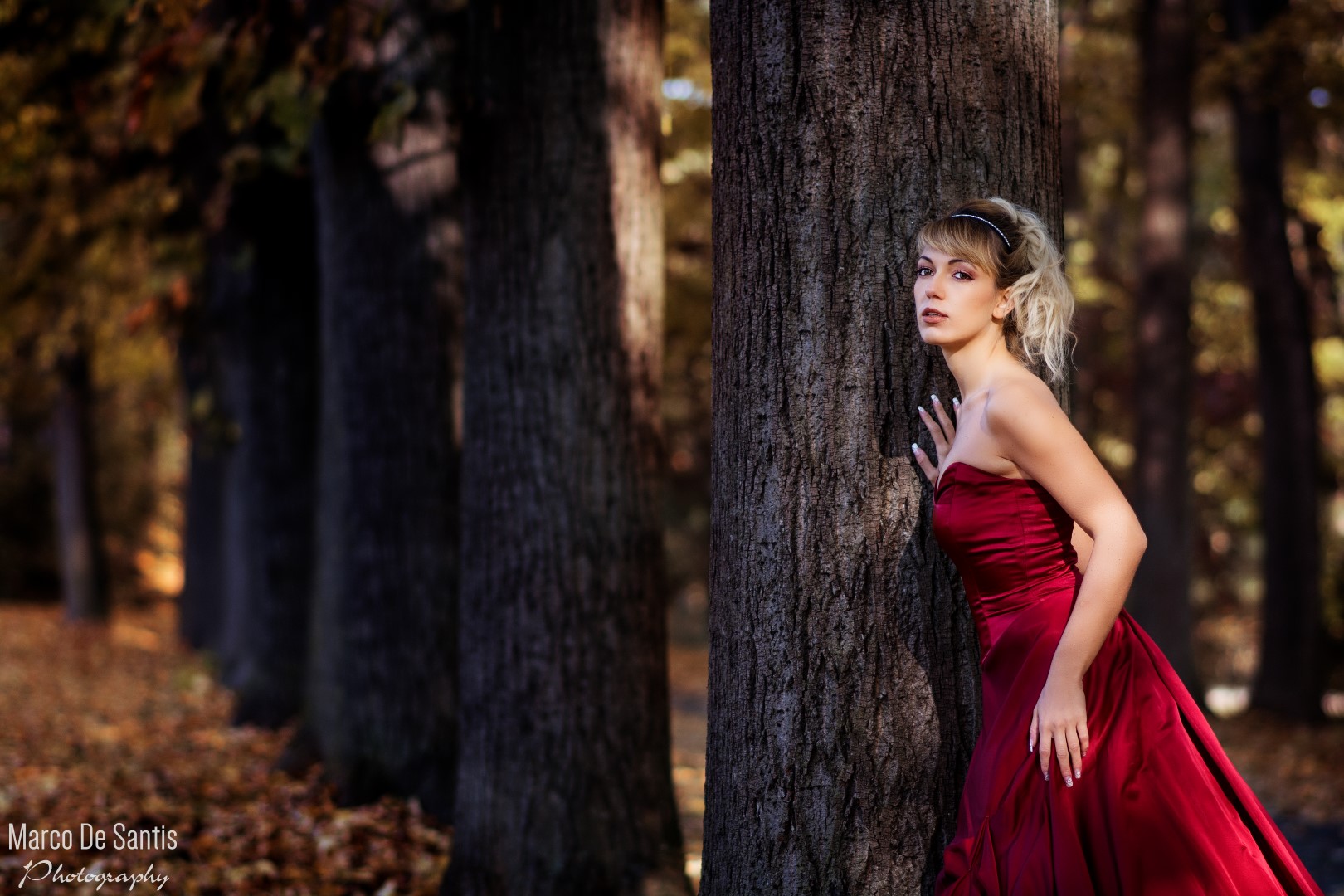 Princess in the wood