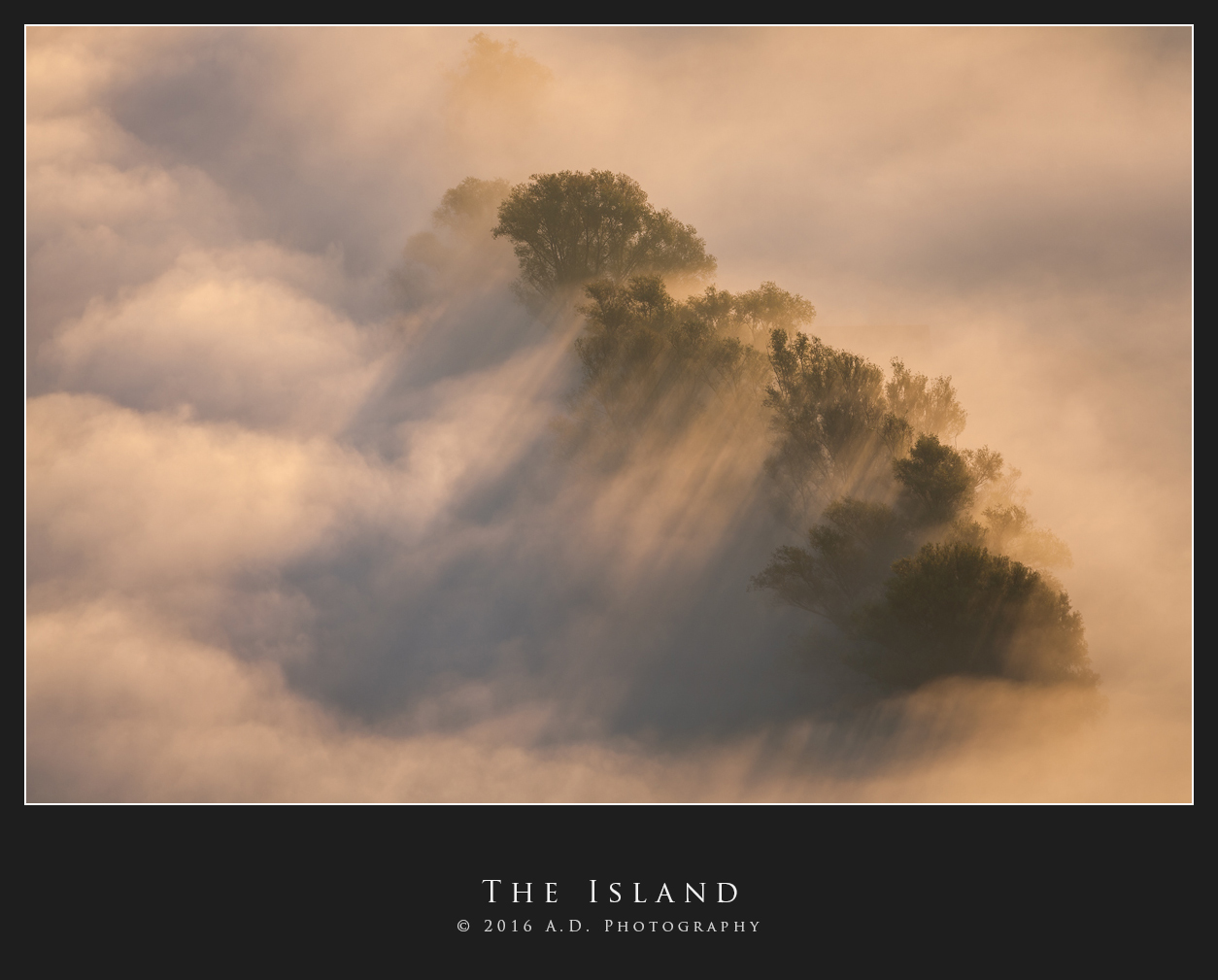 The Island