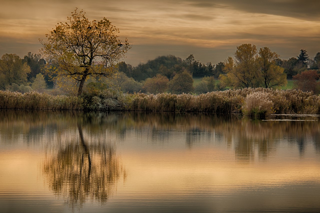 Malinconia d'autunno!