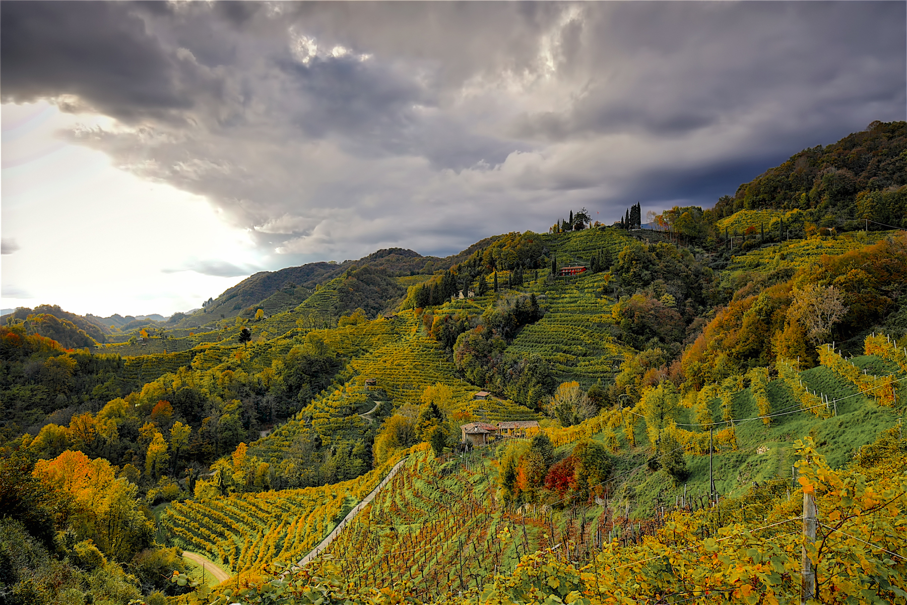 Autumn on the Prosecco