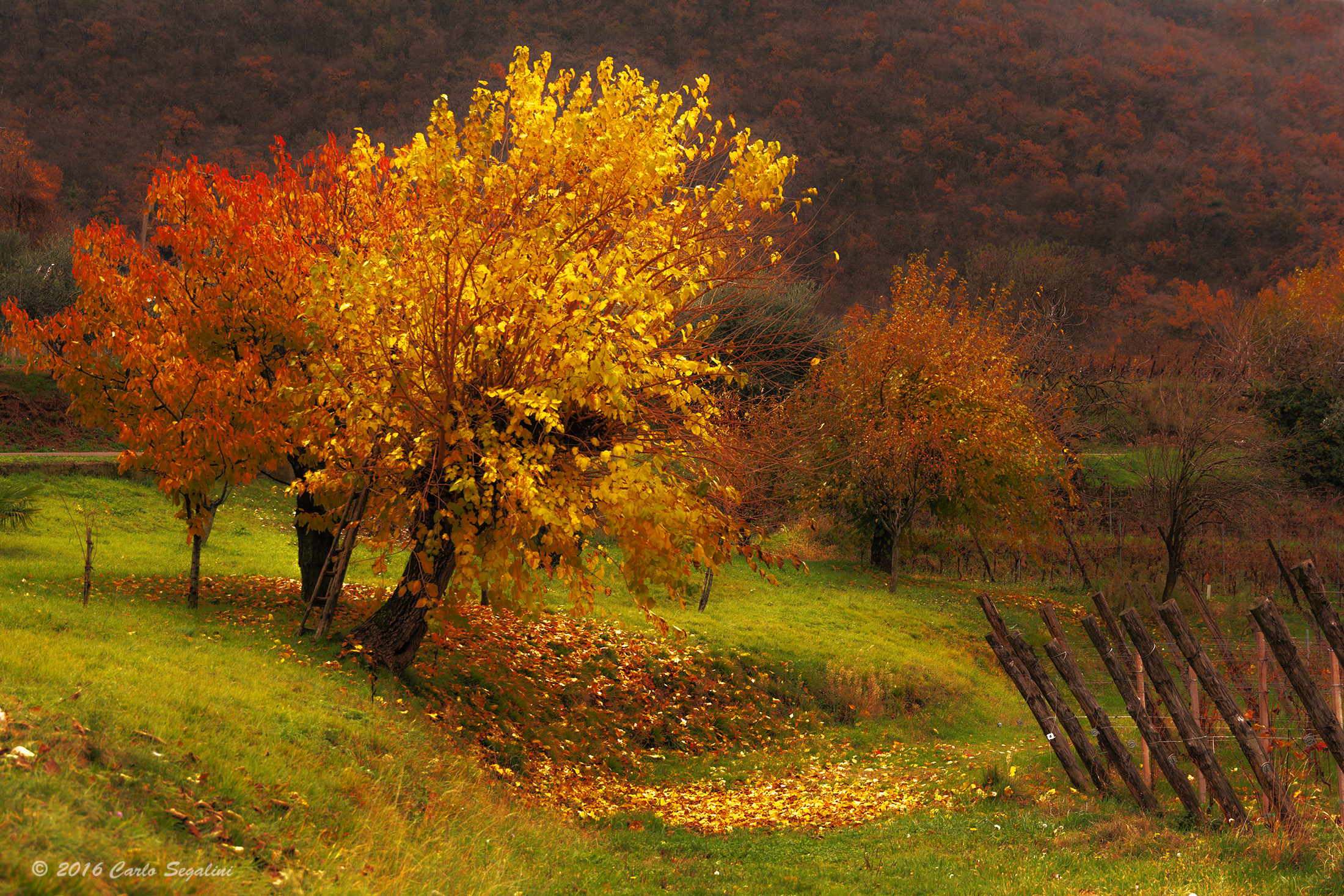 autunno in collina