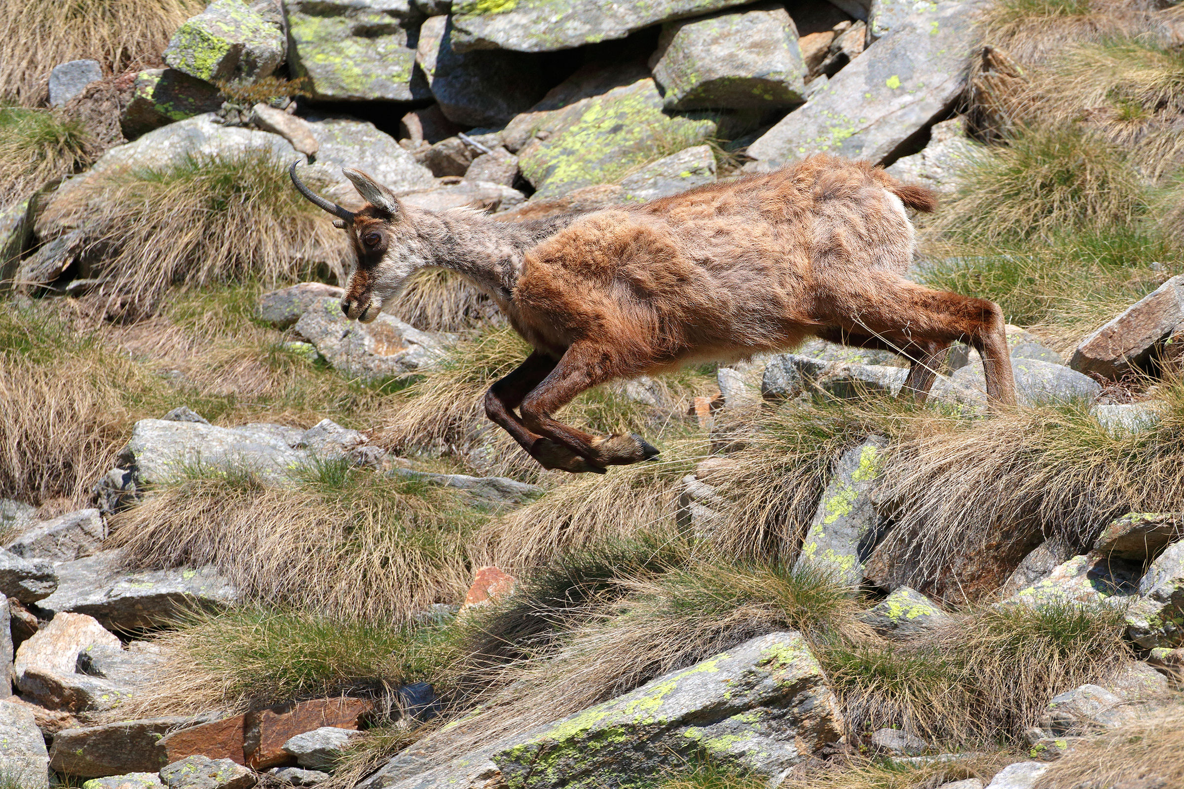 The ugliest suede World