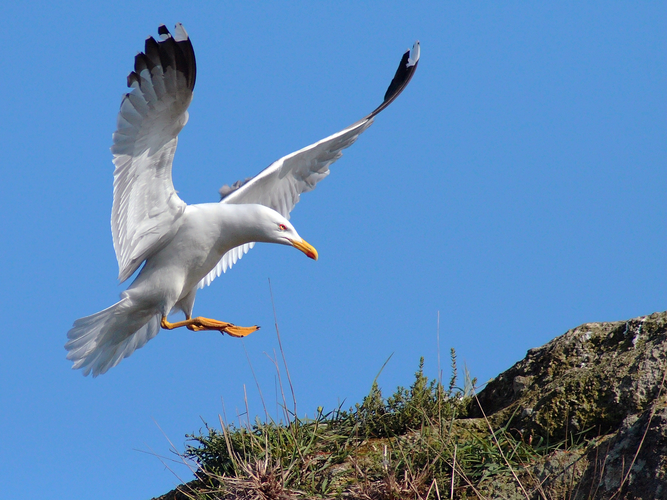 Via tutti, questo è il mio posto!!