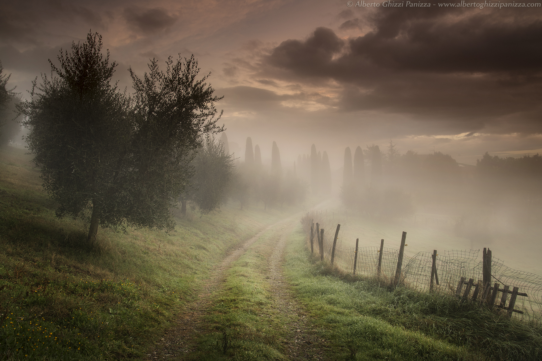 I lost my way in the fog