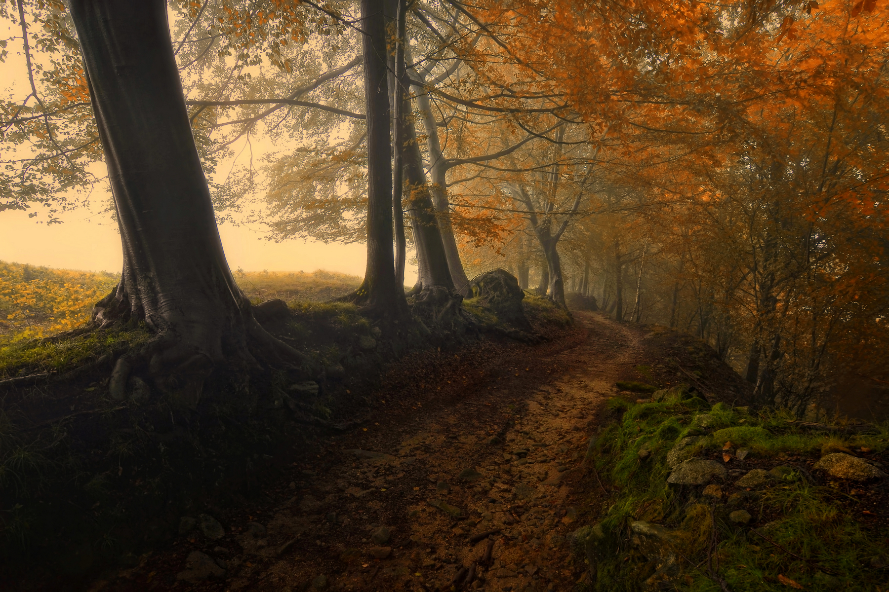 At the edge of the light