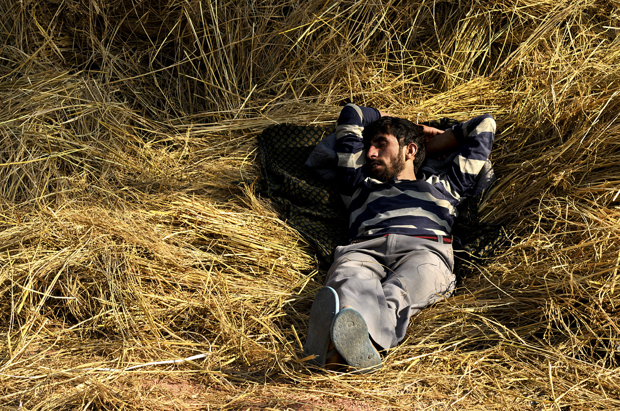 and i have traveled miles