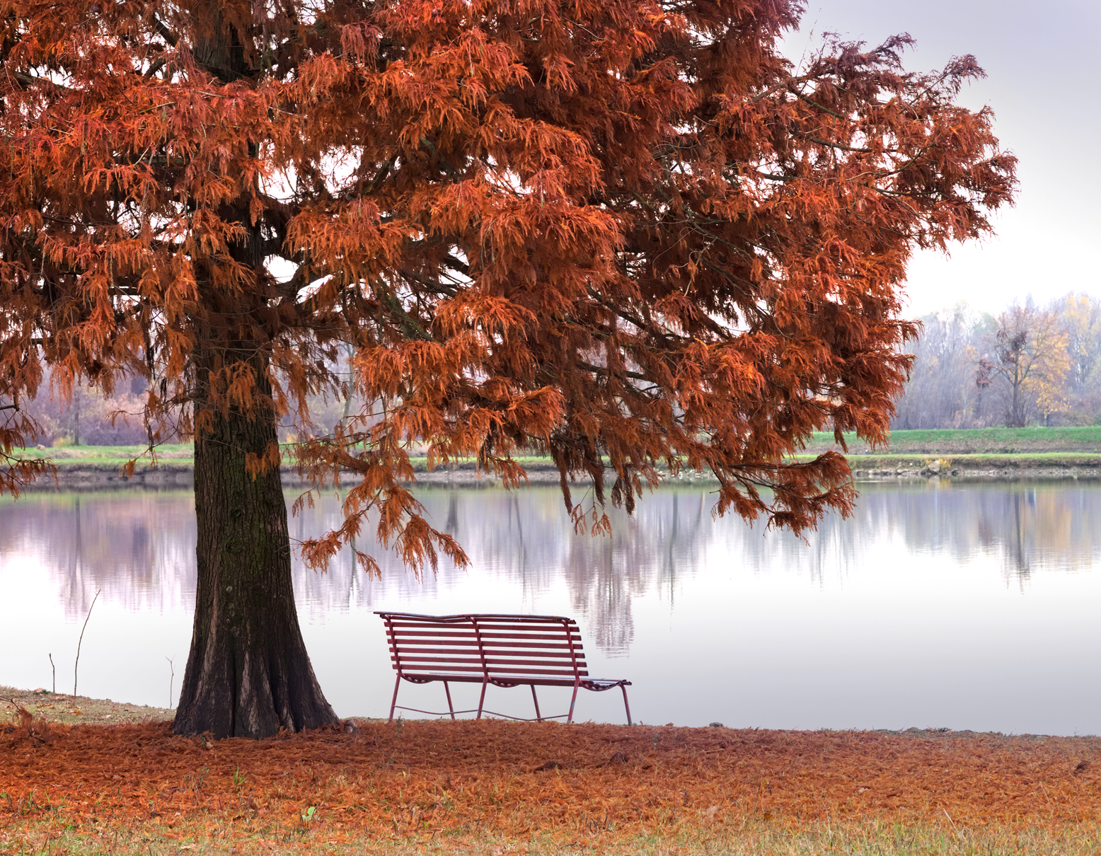 Autumn Bench