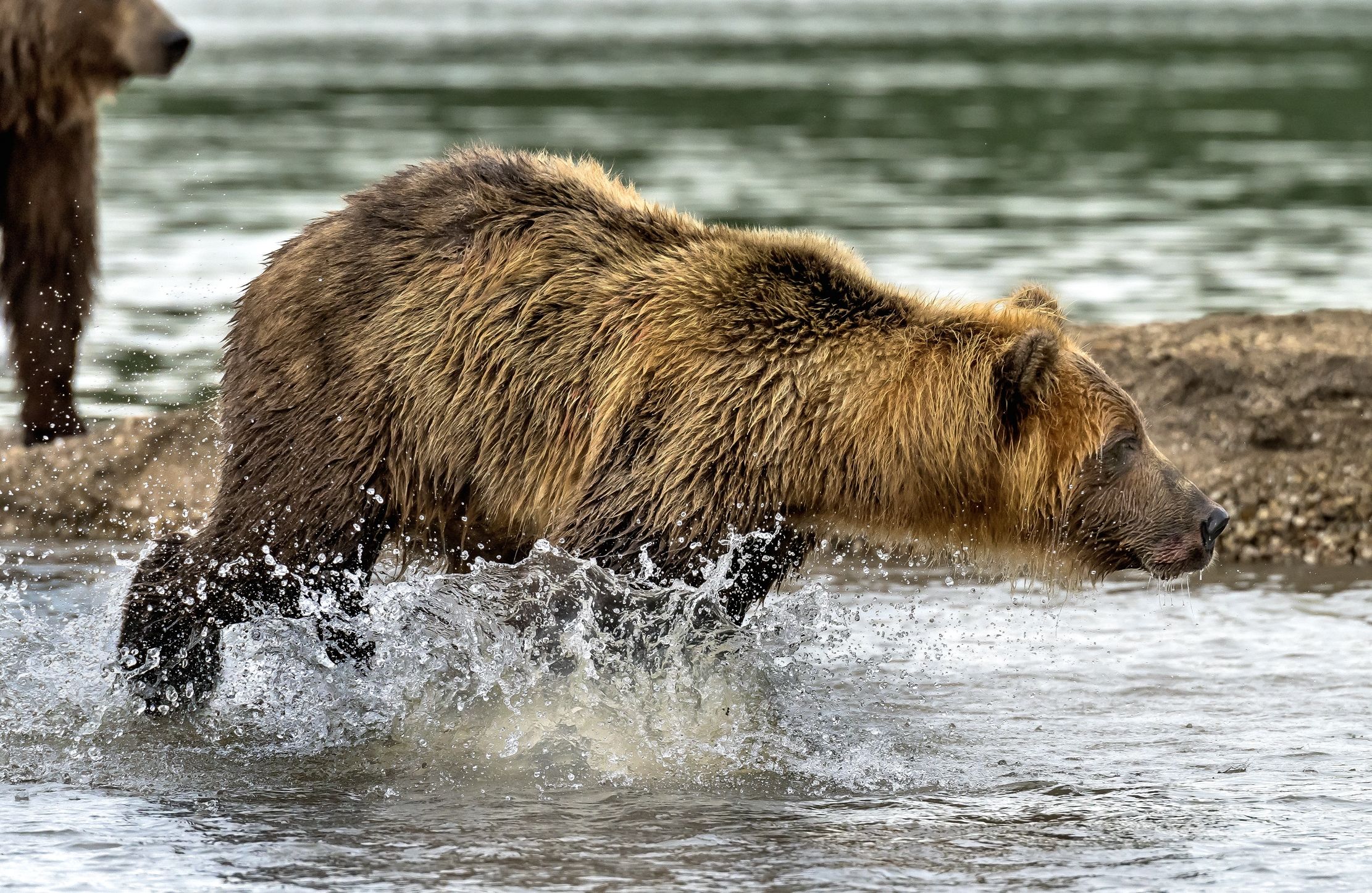 Kamchatka 2016 - Fishing