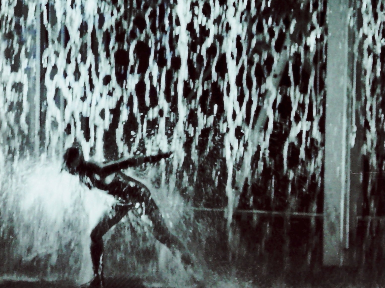Water, 2002
