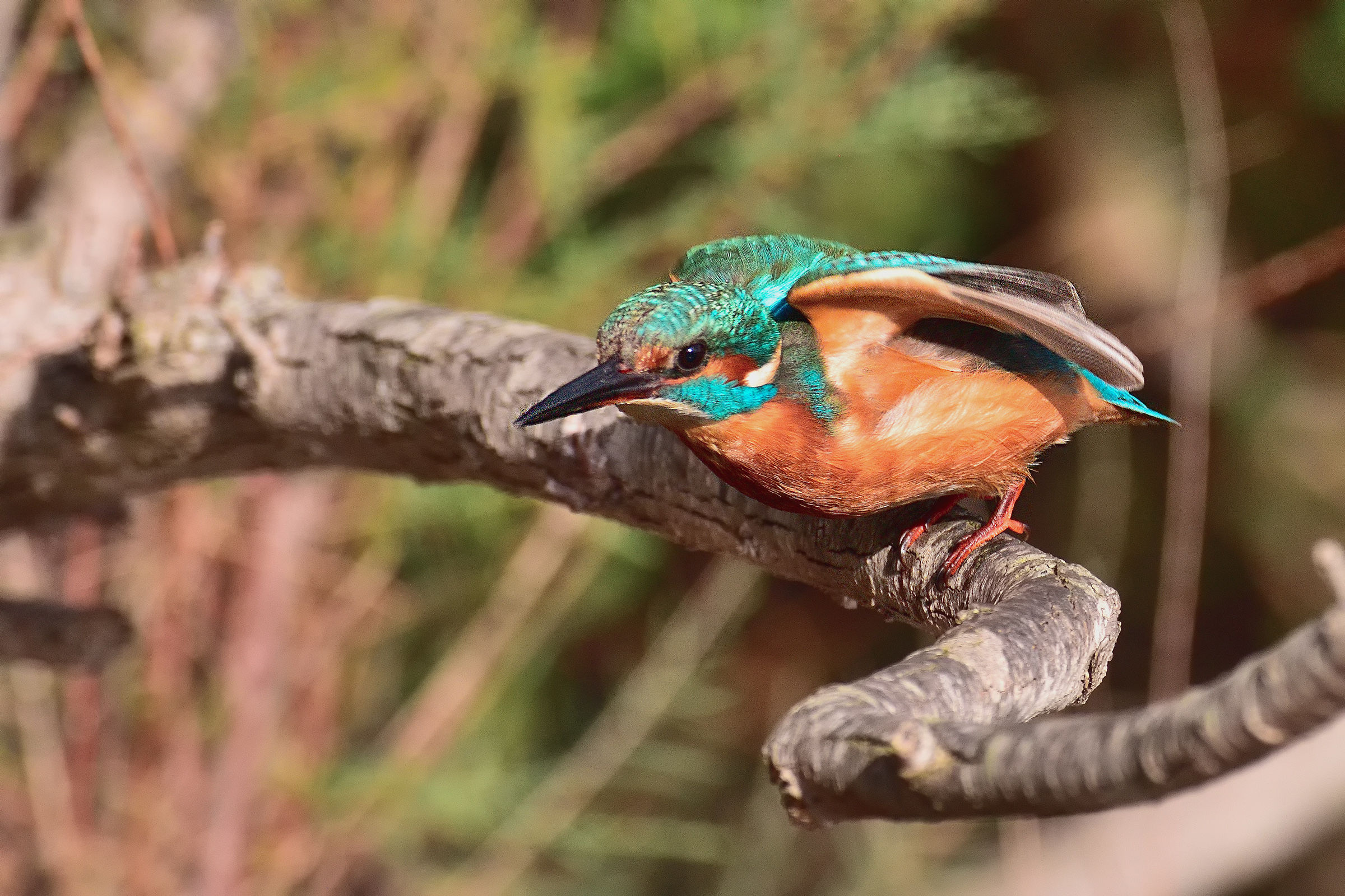 Martina at the start.