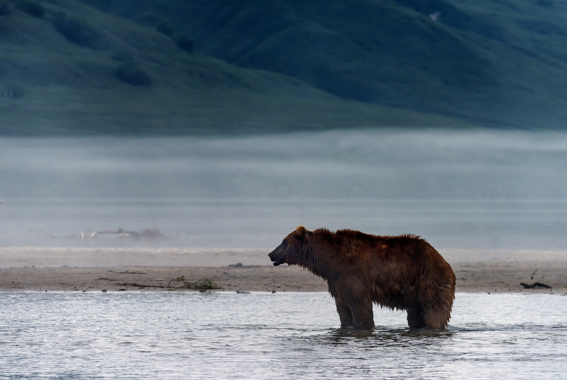 Kamchatka 2016 - Con la nebbia