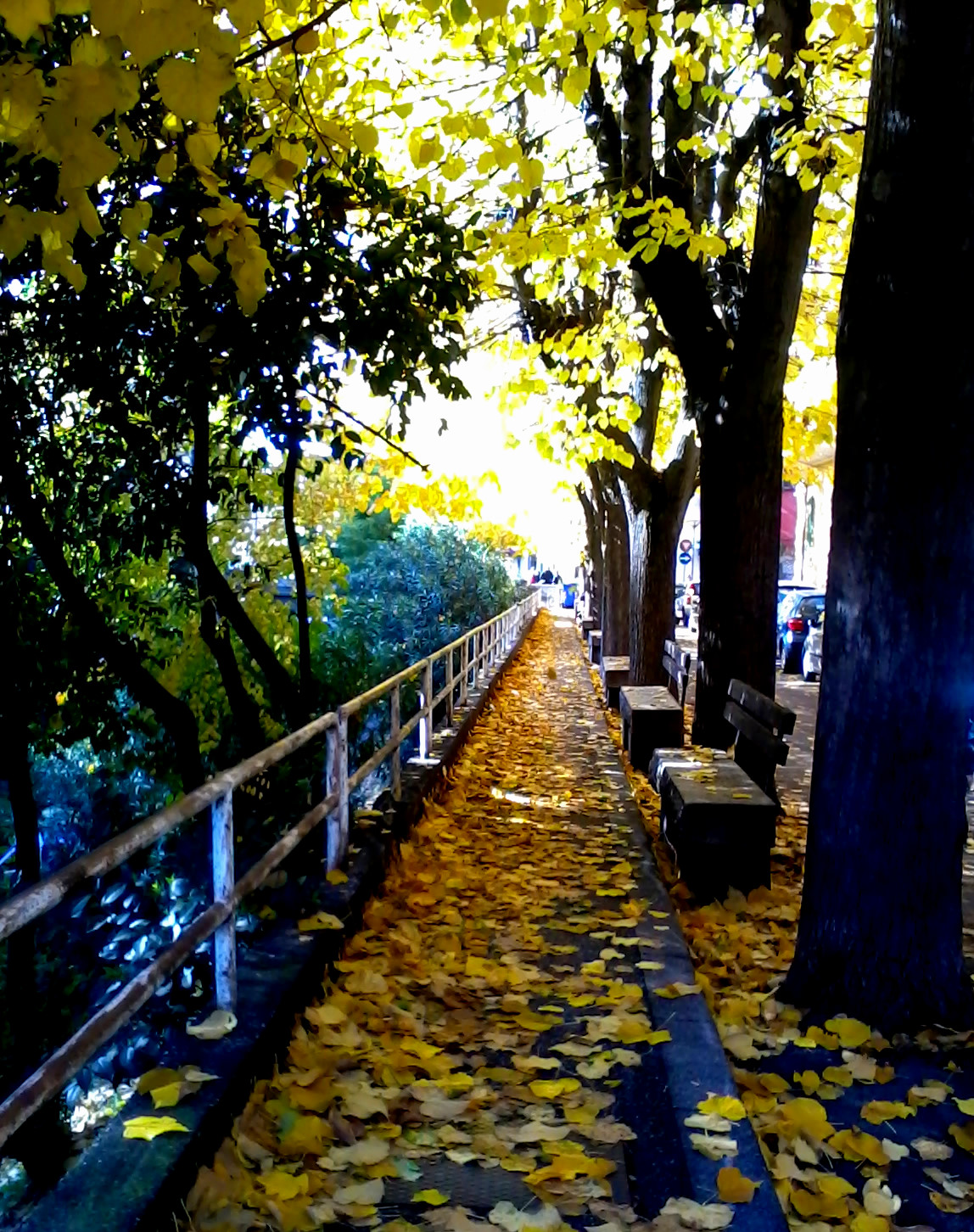 Autunno