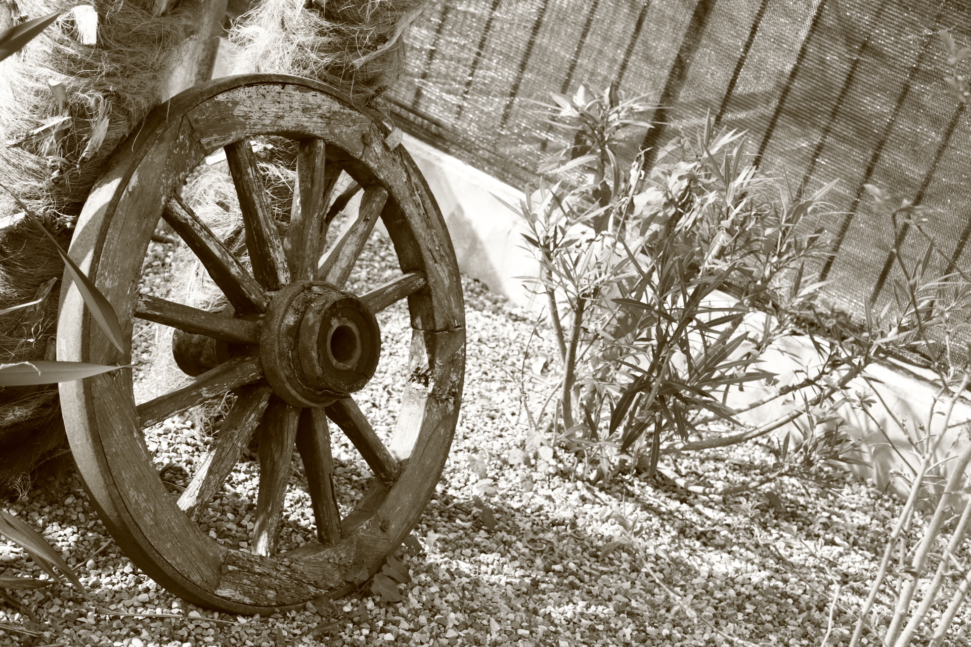 Usm is 18-135mm (50mm)