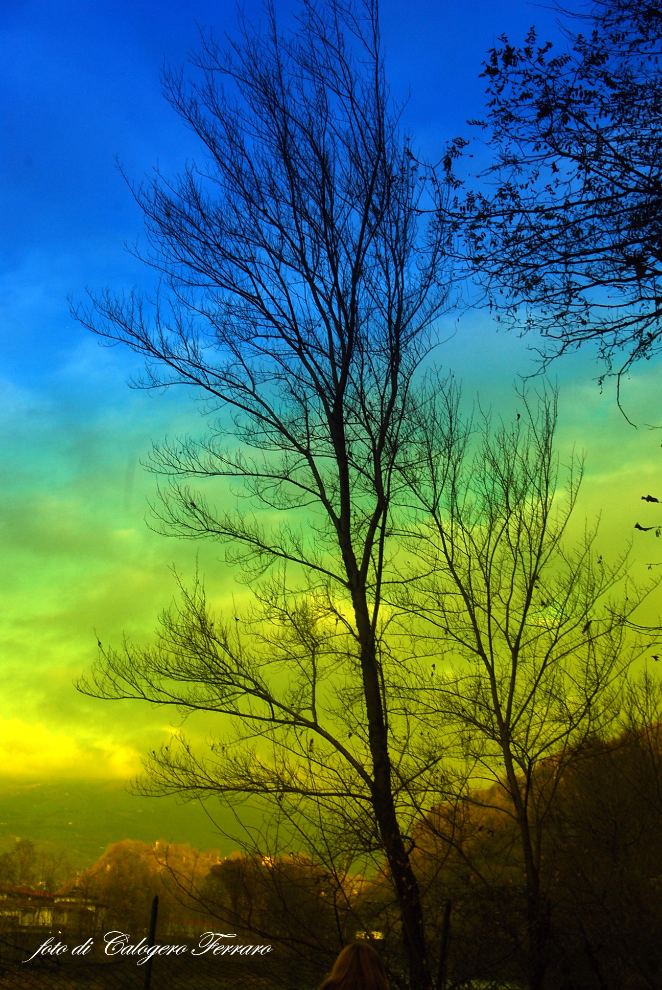 Natura 2016 & sloping filters