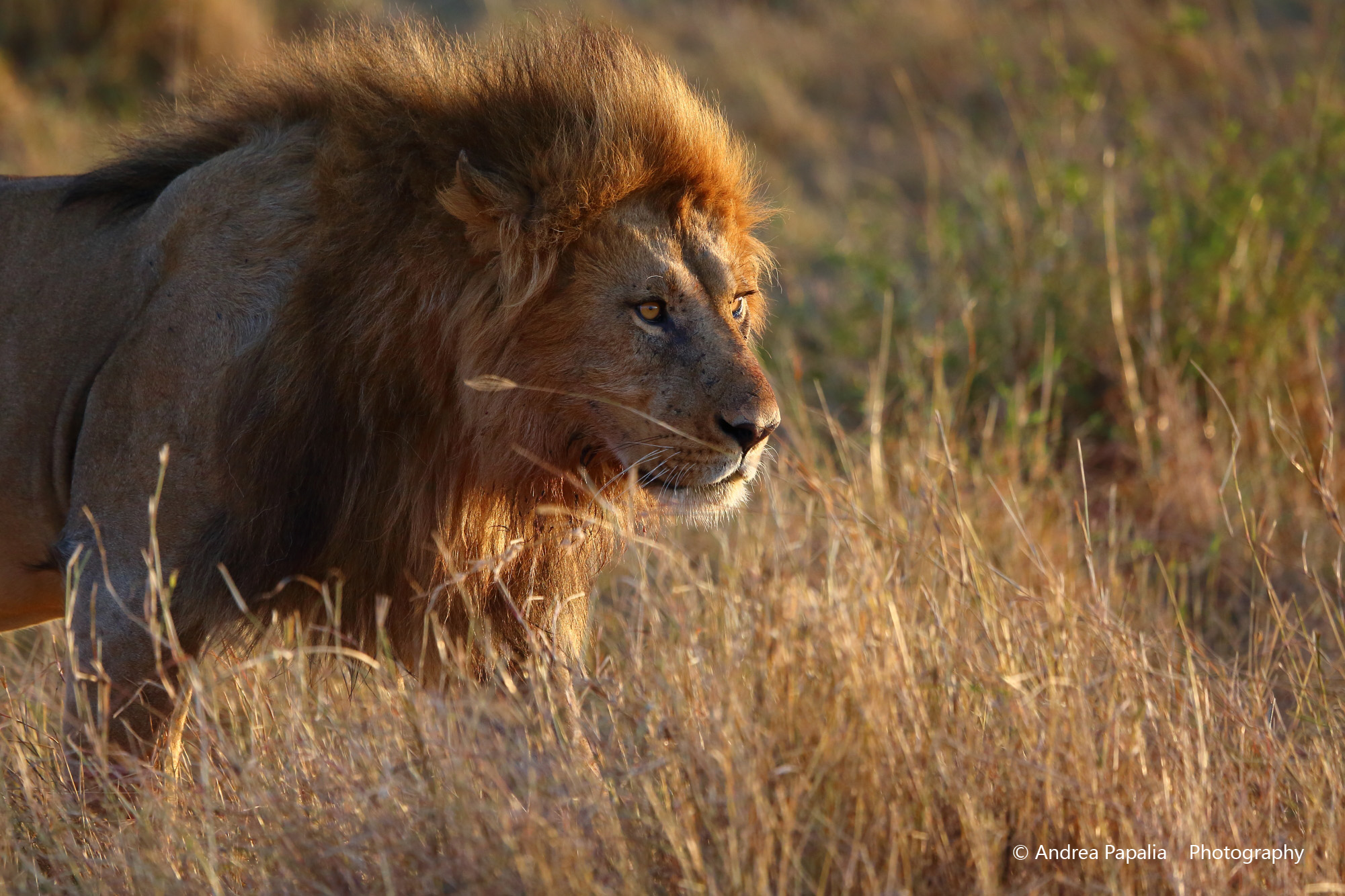 The sun rises in your eyes