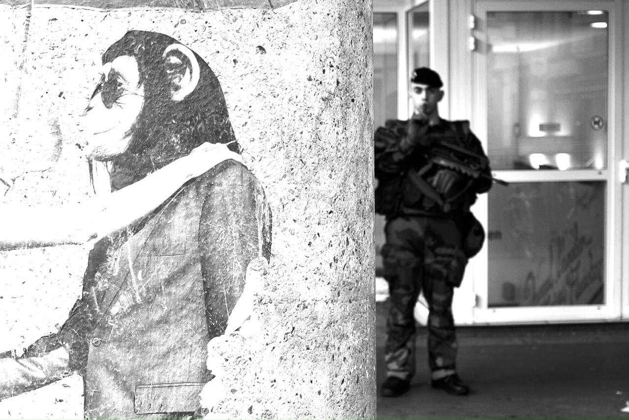 Chi é più intelligente ?