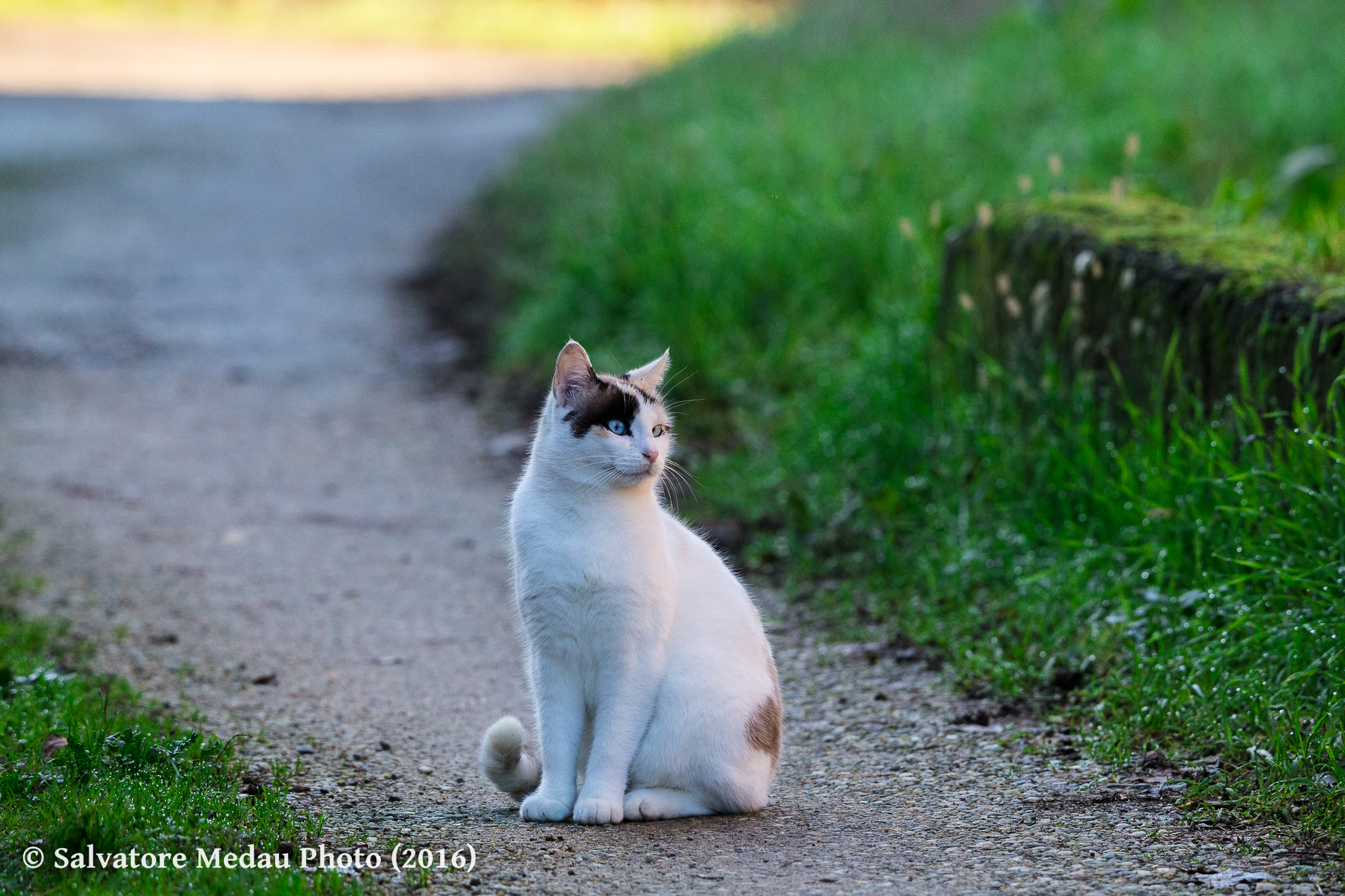 Una modella speciale