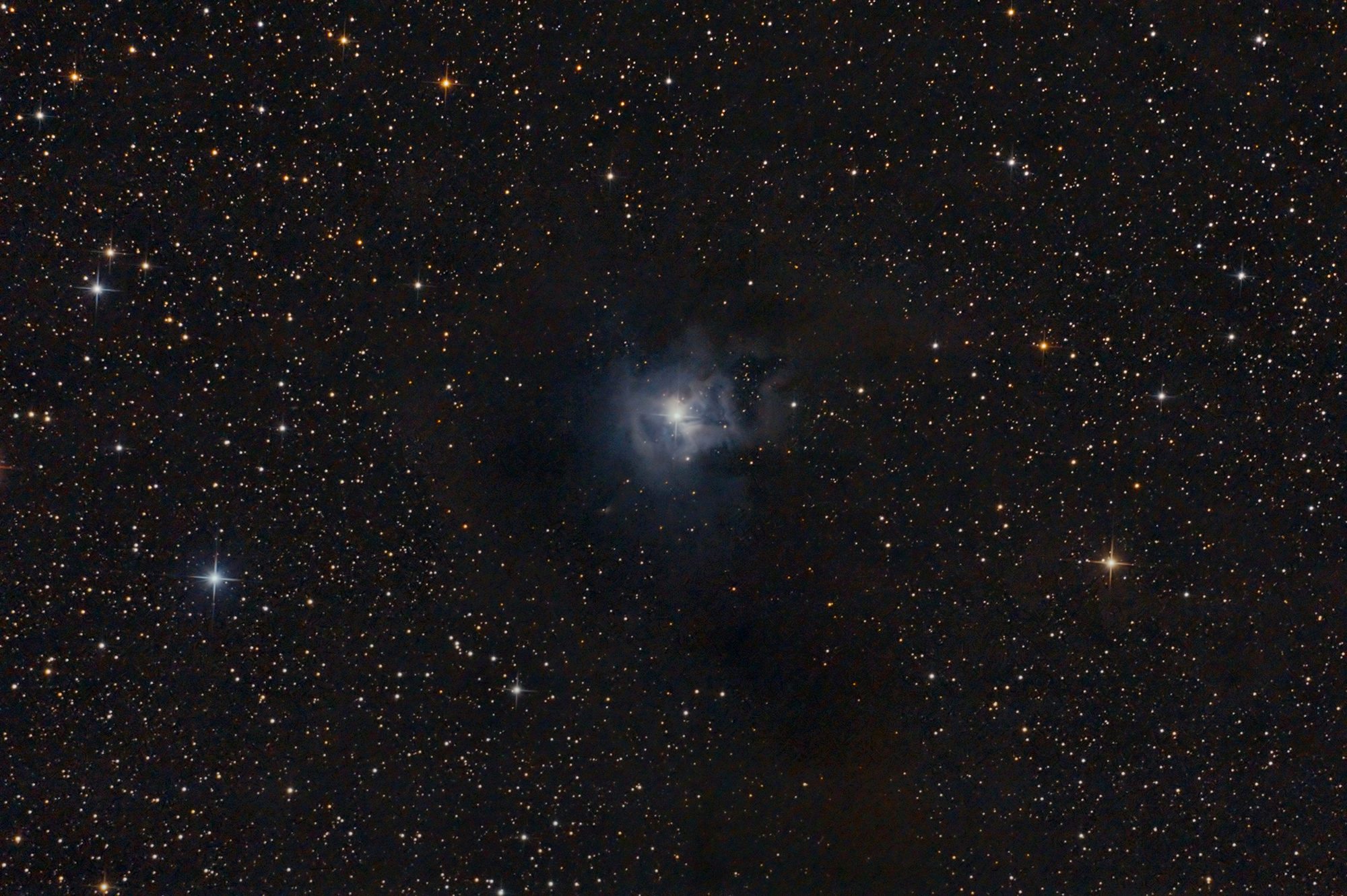 Iris Nebula NGC 7023