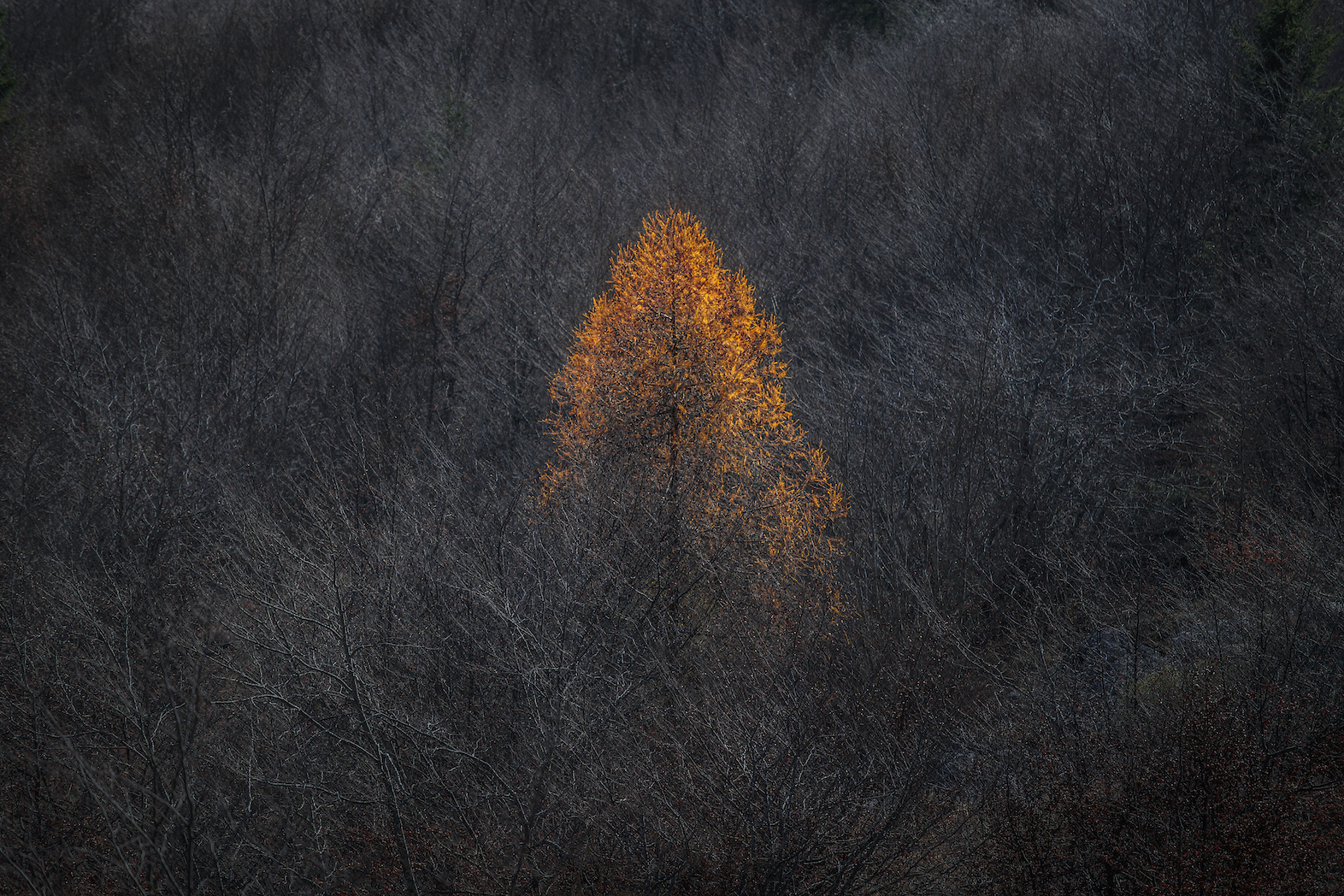 Everything around me is gray