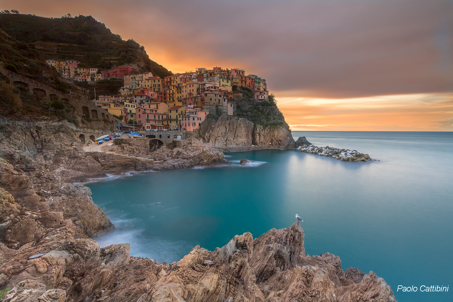 Manarola