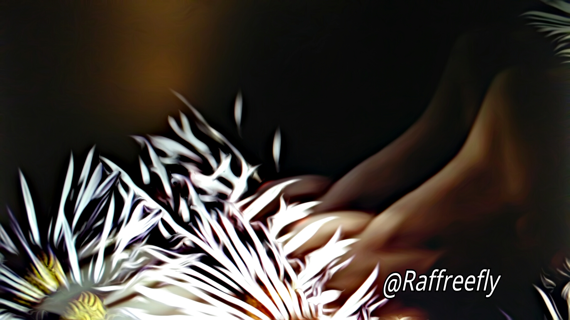 Fine art astratto fotografico