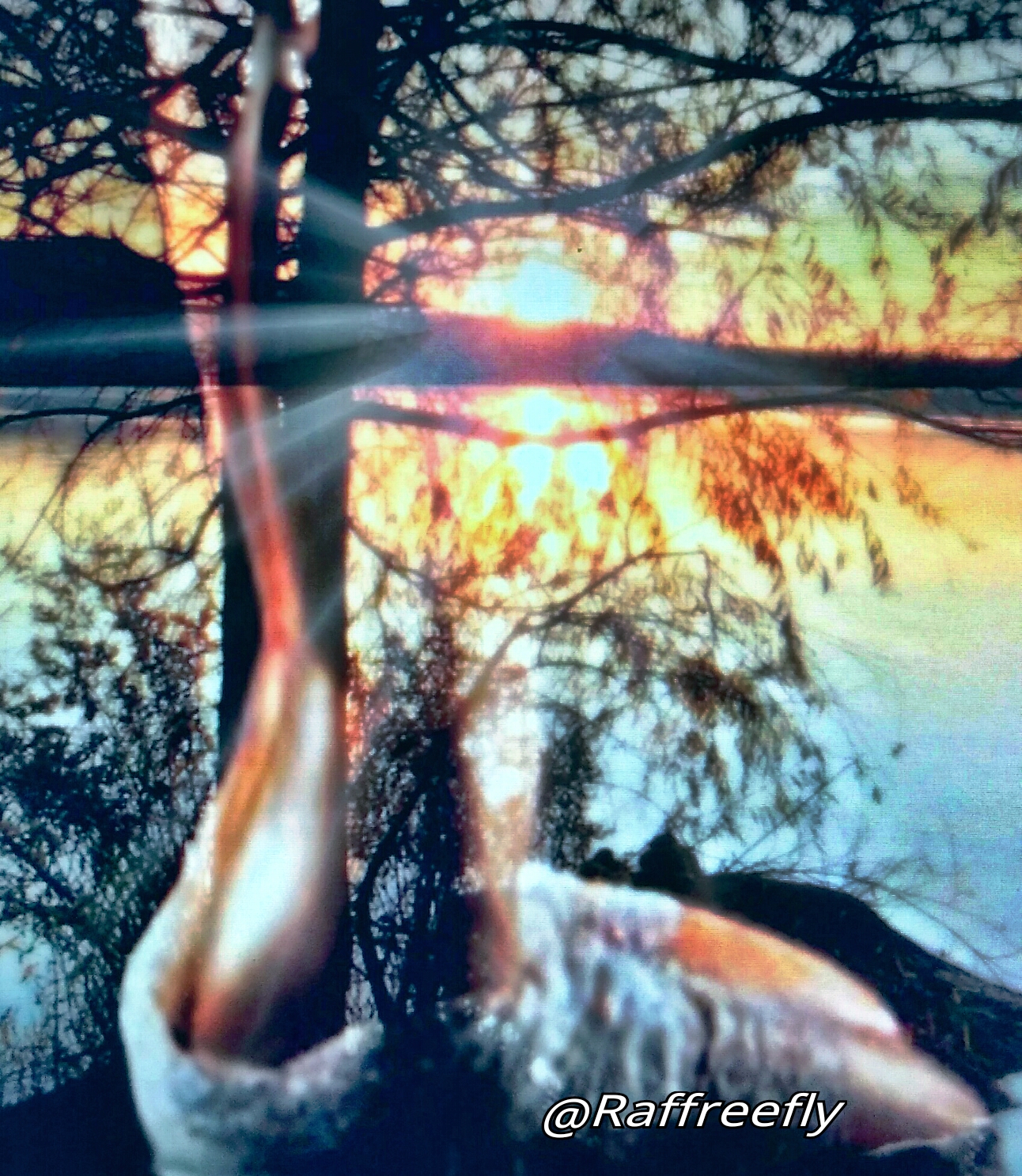 Fine art astratto fotografico