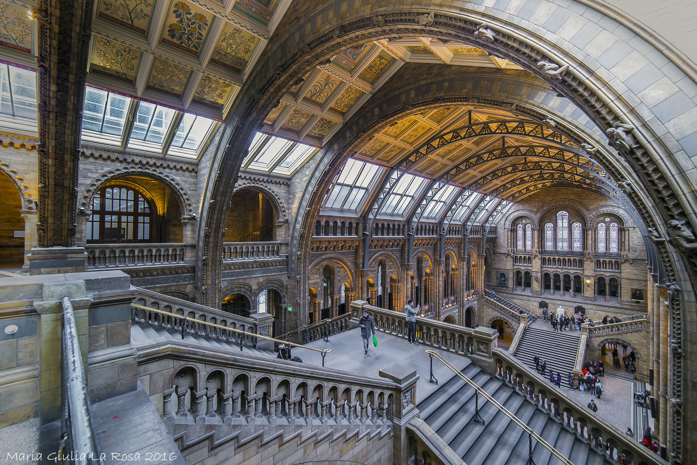 London - Natural History Museum