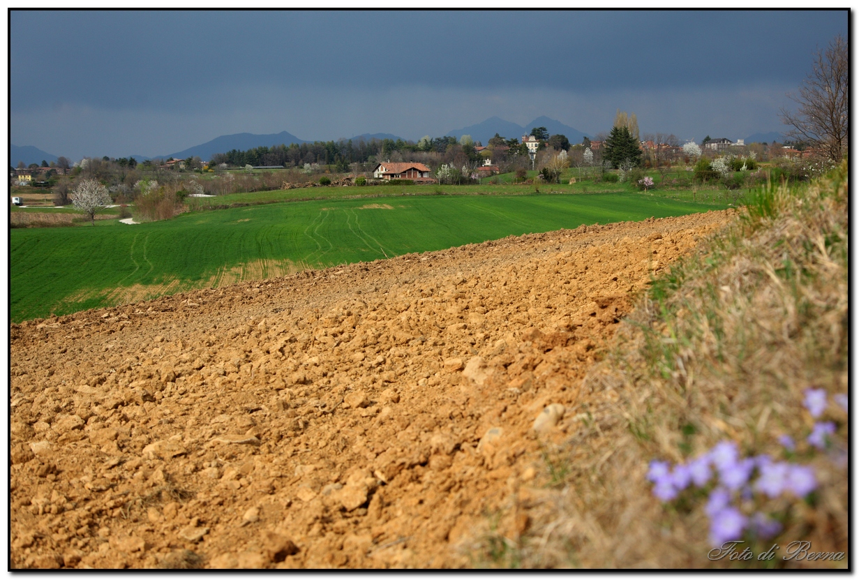 Spring in Brianza