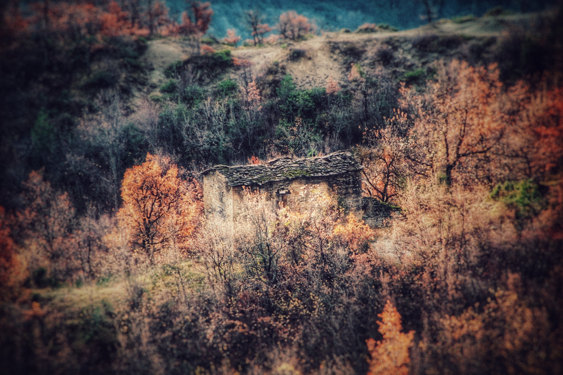 ..gli uomini discutono, la natura agisce...