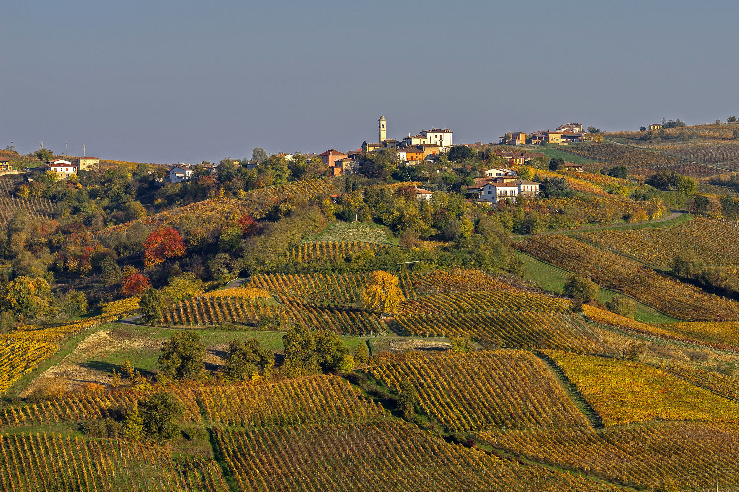 Oltrepò: As a "MISSONI"