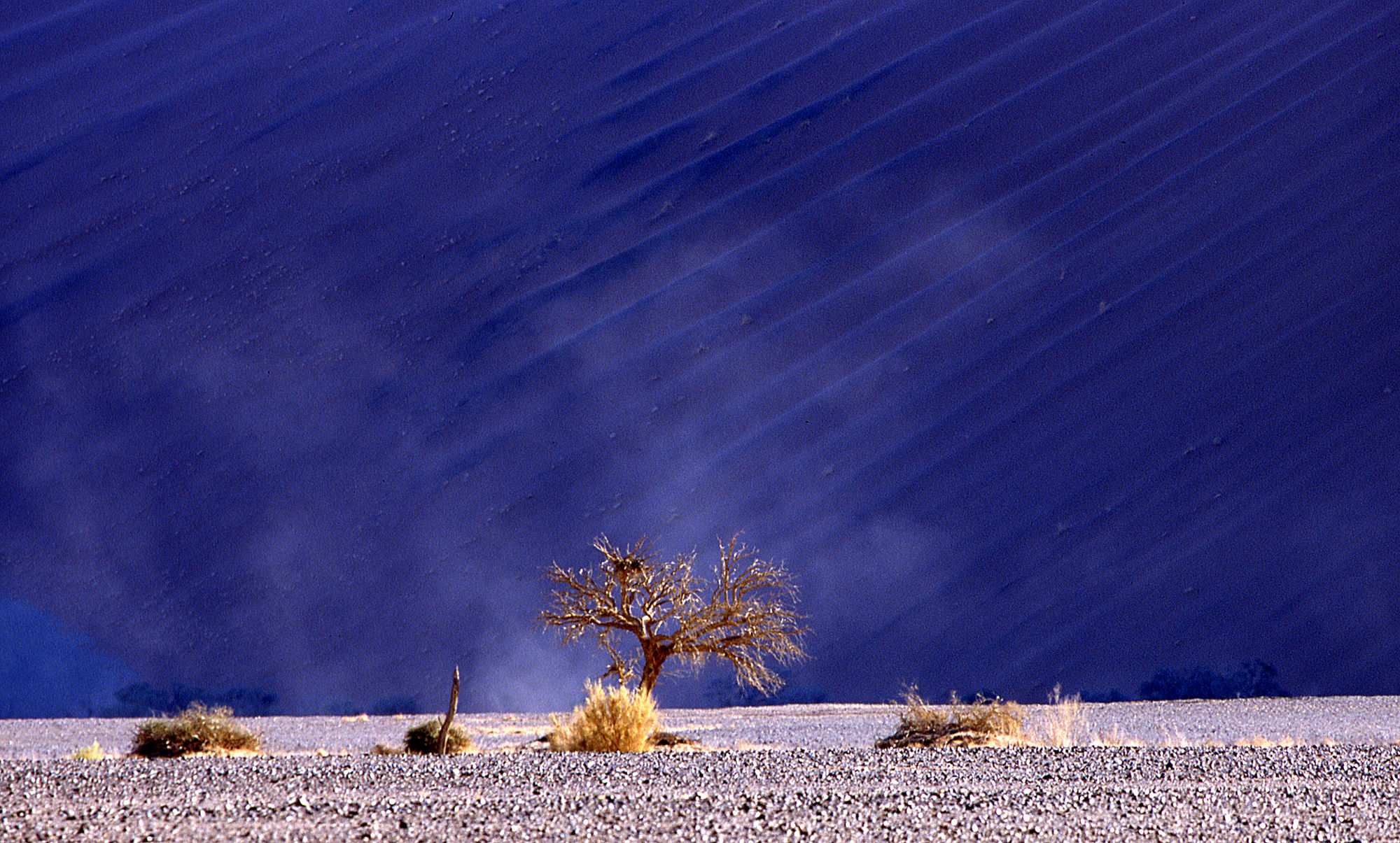 Namib Desert