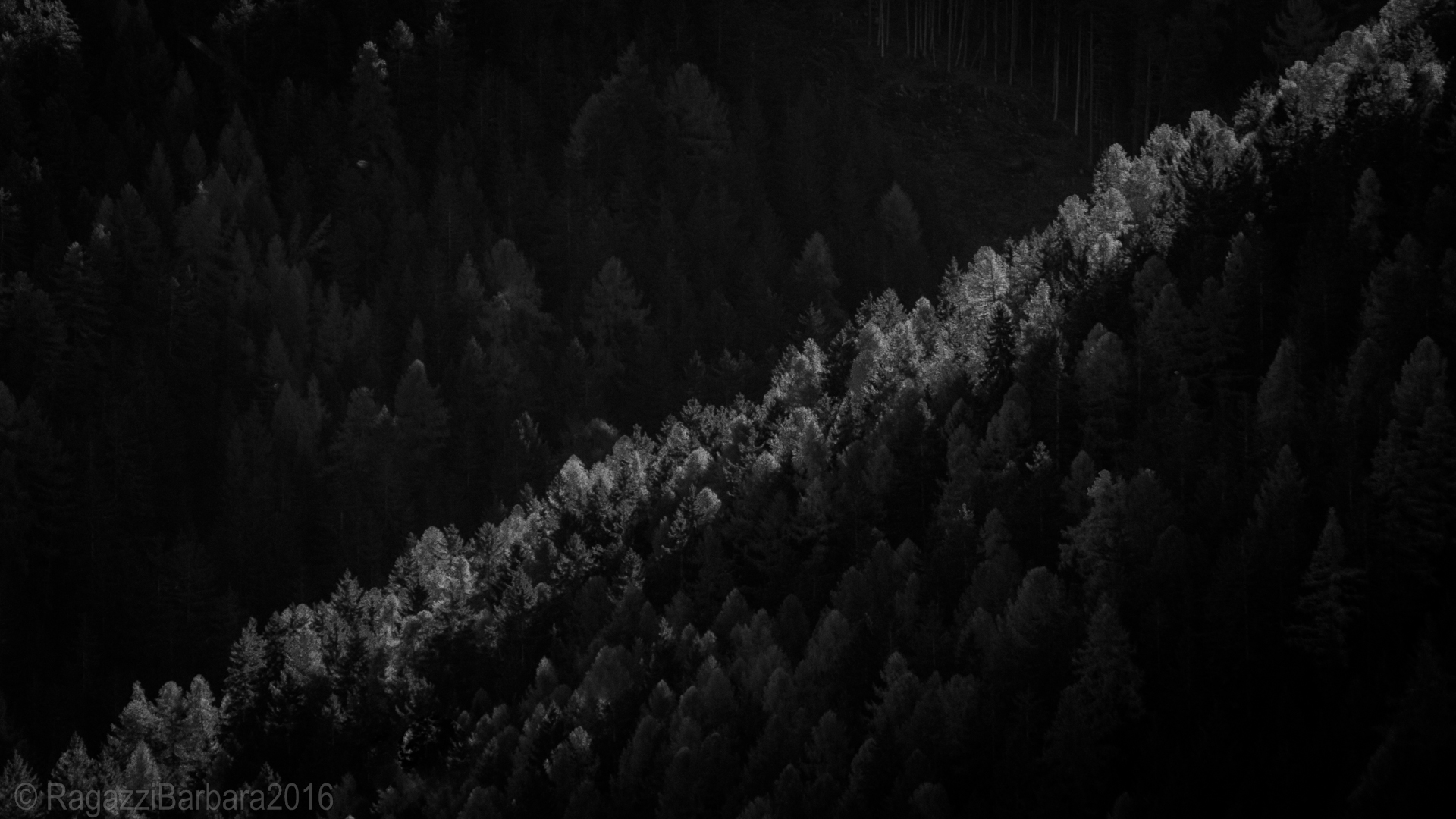 All lined up for the last sun