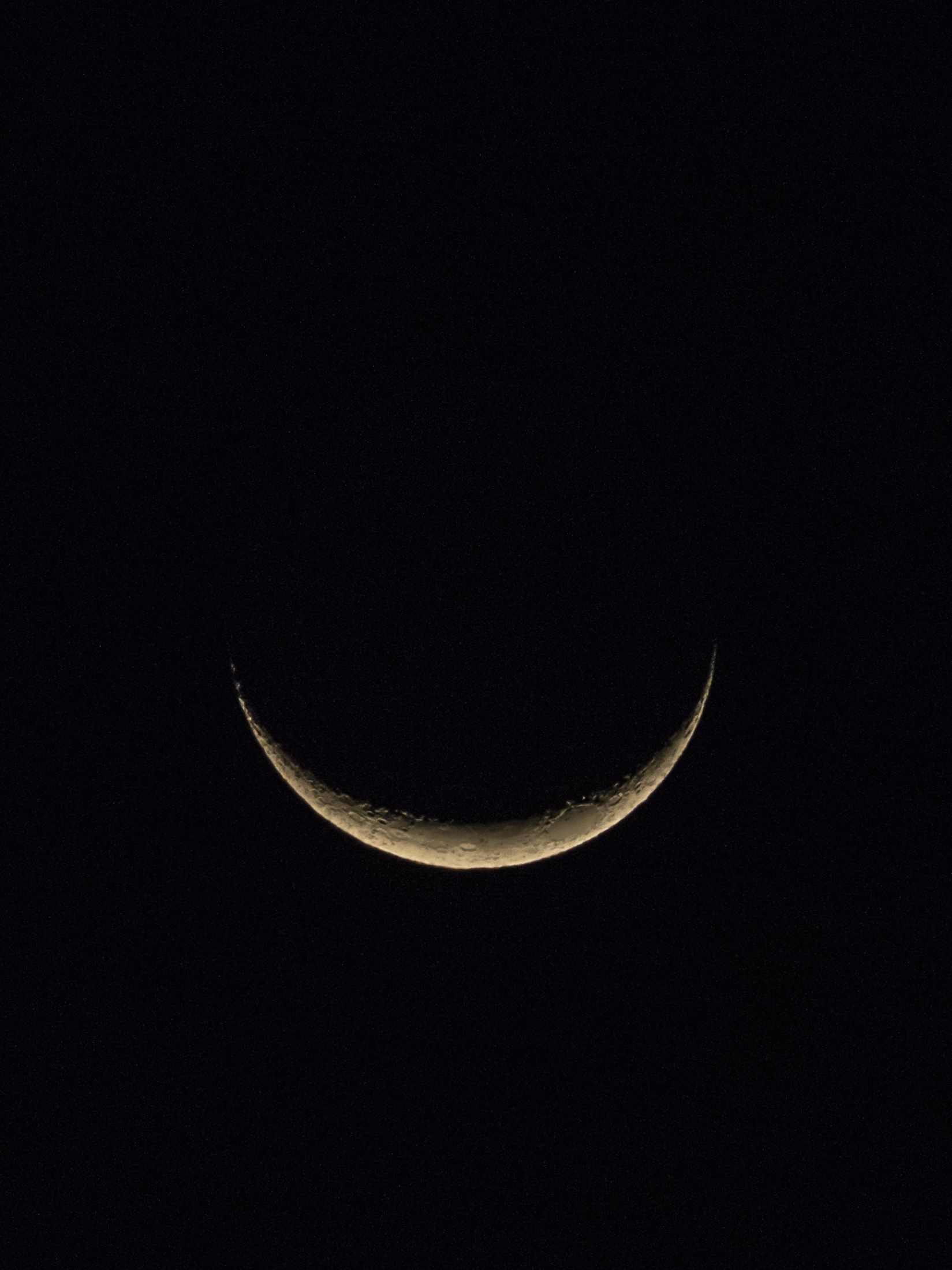 Cheshire Cat or happy moon